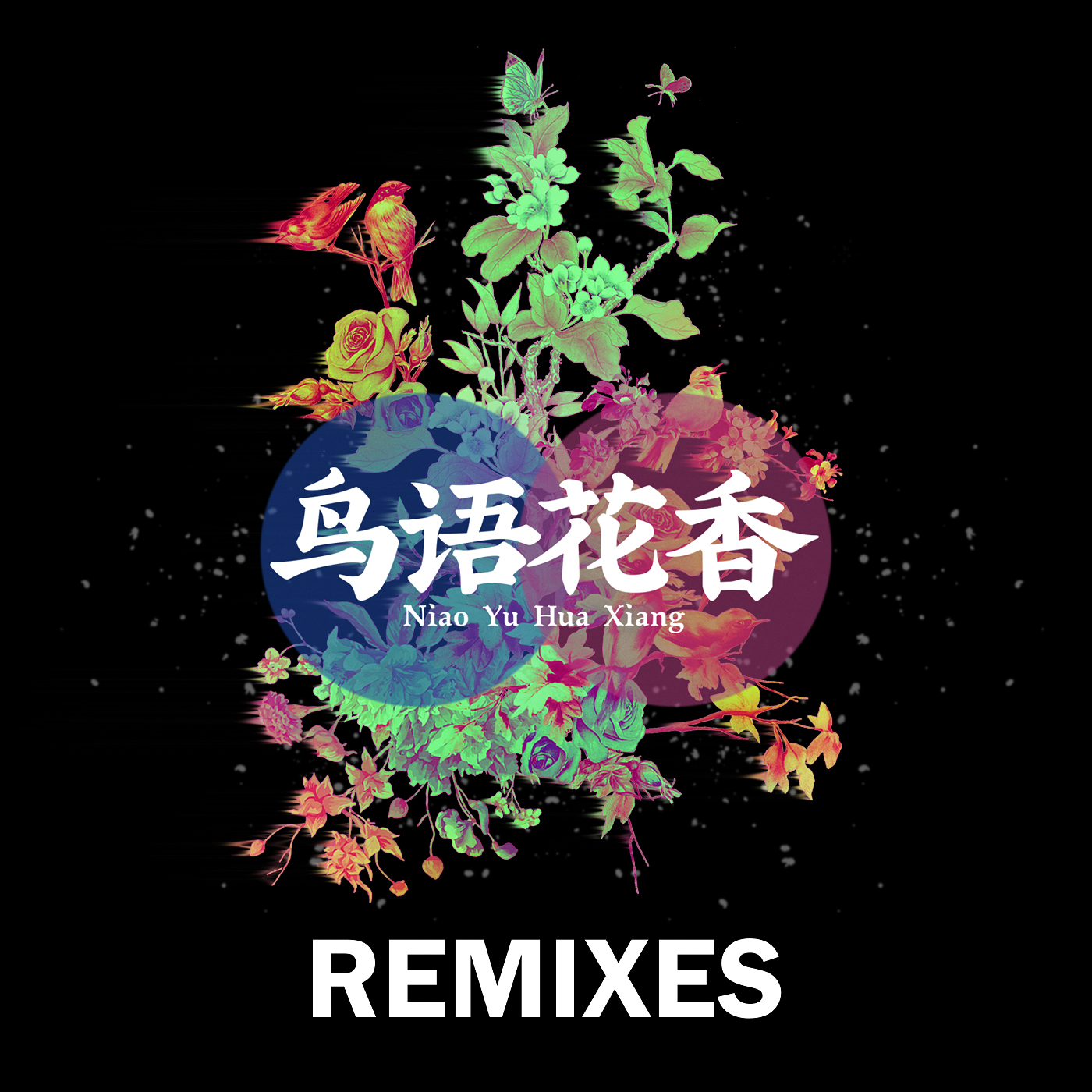 JIN  DJs niao yu hua xiang Buzsquez Remix JINACTION  Buzsquez remix
