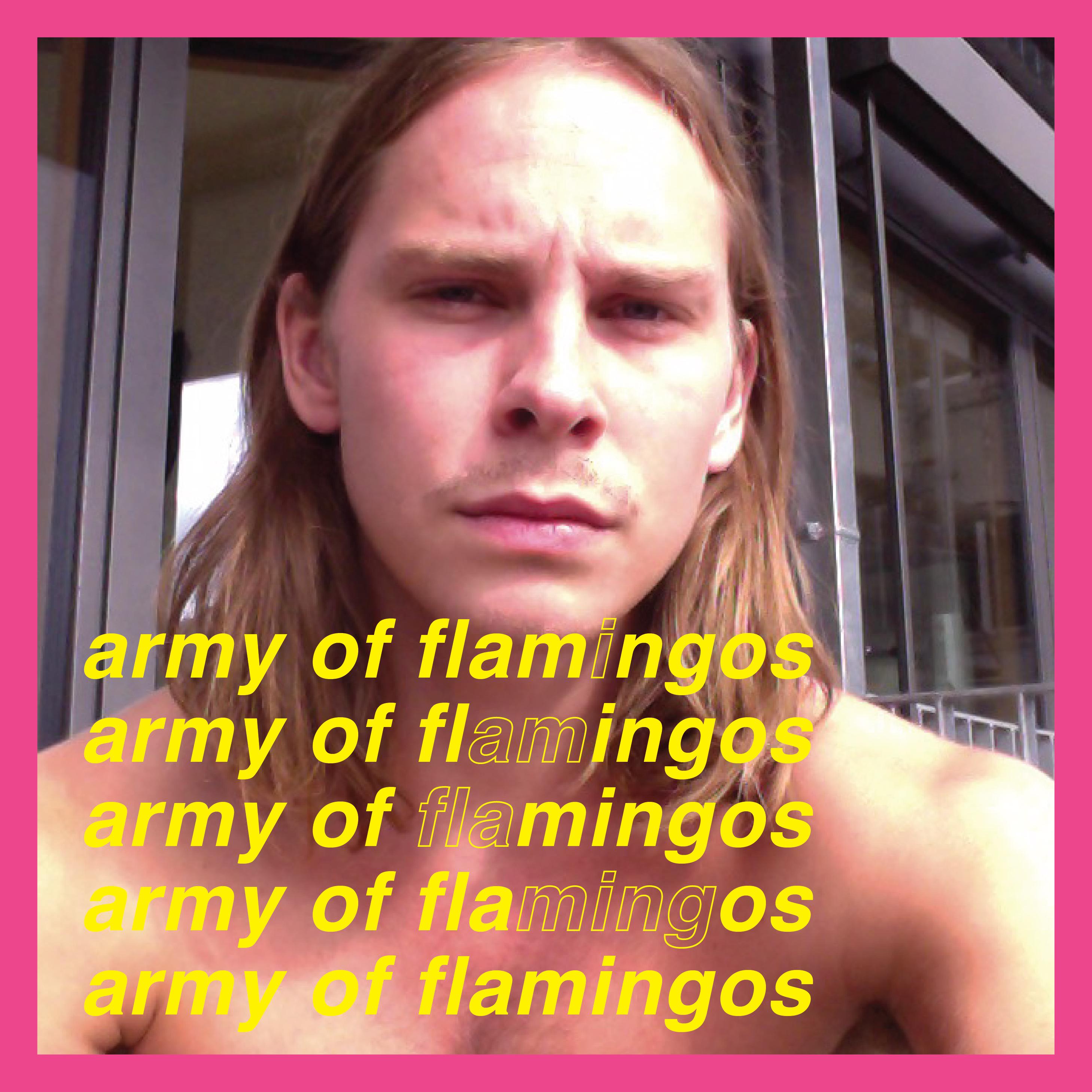Army Of Flamingos