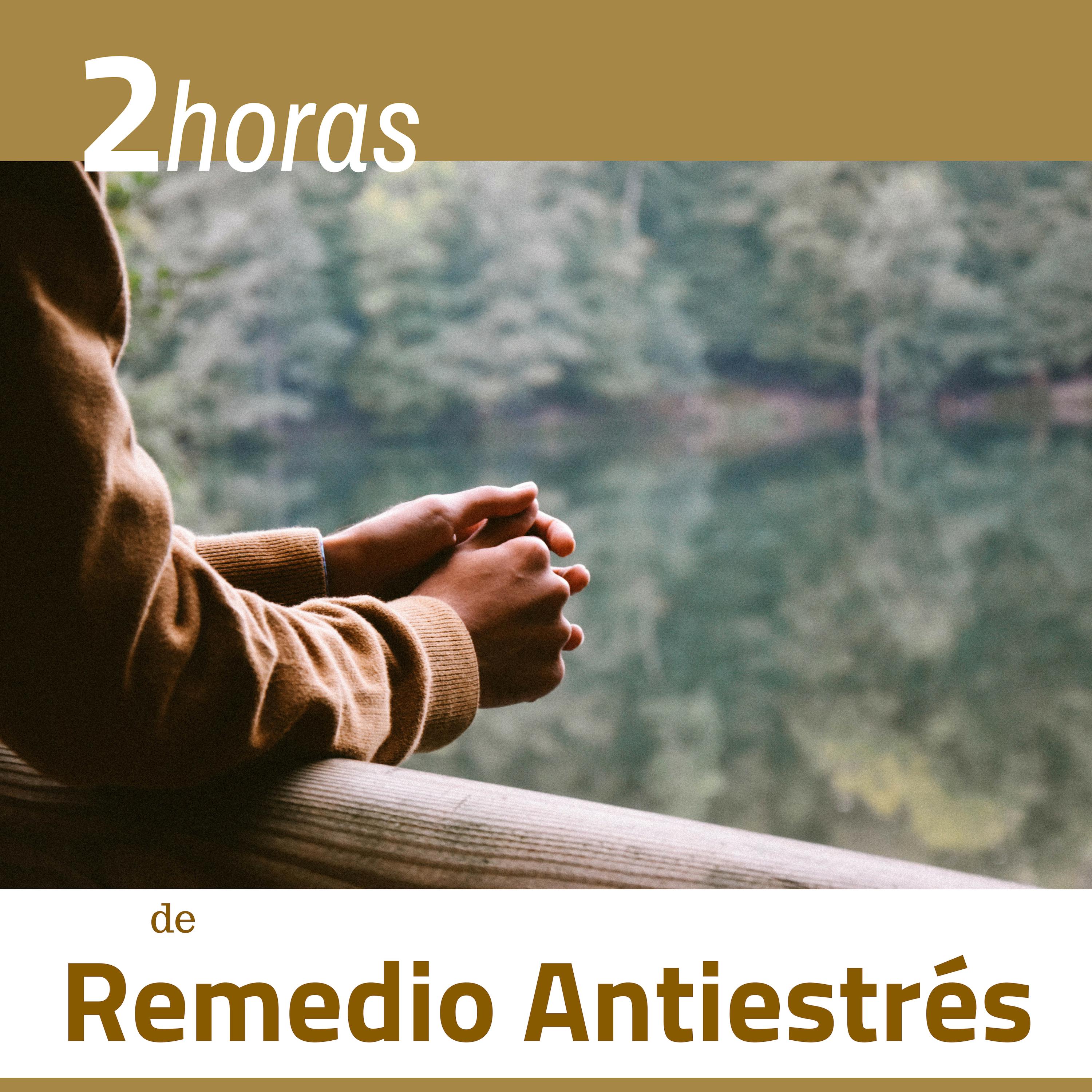 2 Horas de Remedio Antiestre s  Las Canciones Perfectas Desestresarte y Relajarte en Profundidad