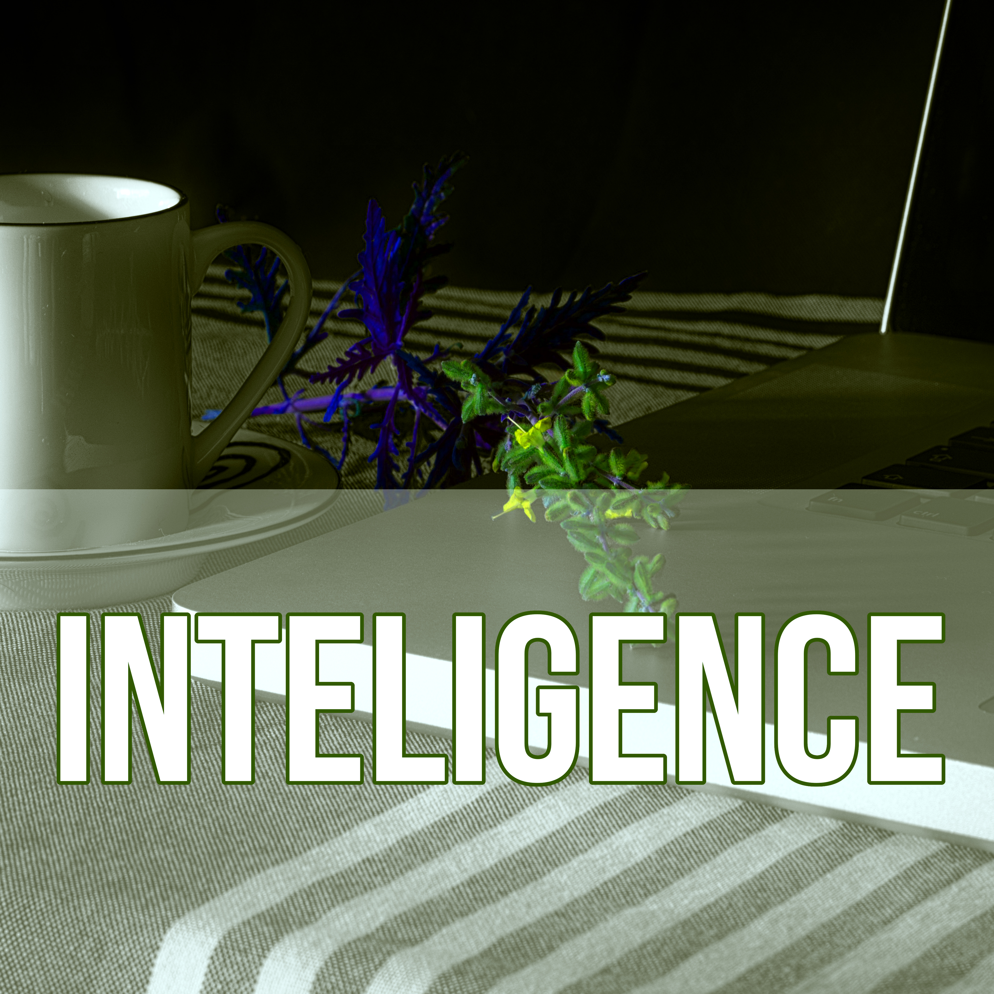 Inteligence - Music for Studying, Piano Sounds to Increase Brain Power, Instrumental Relaxing Music for Reading