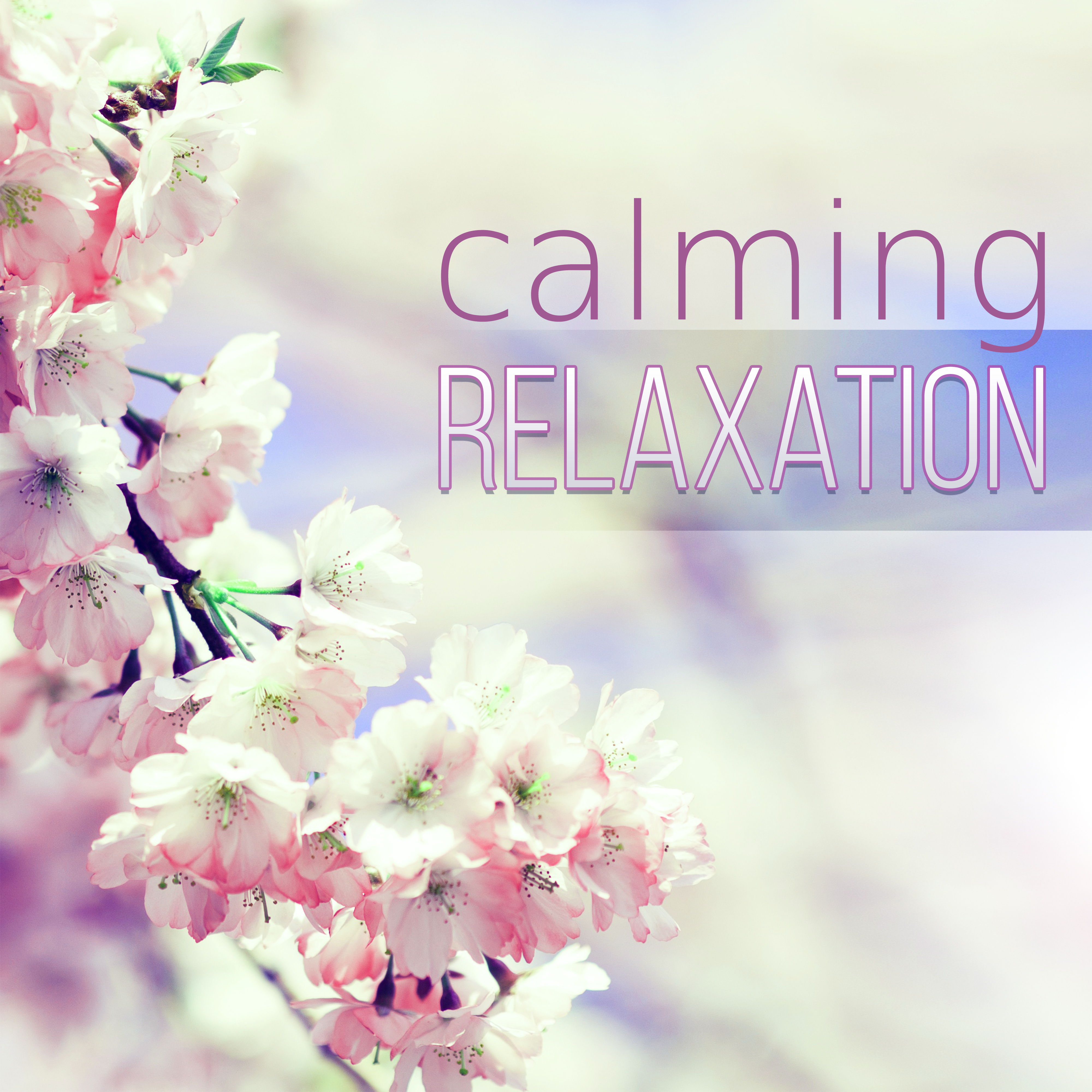 Calming Relaxation  Rain, Calm Relaxing Nature Sounds, Tai Chi, Water Sound, Sleep, Massage, Meditation, Serenity Music, Reduce Anxiety, Music for Babies