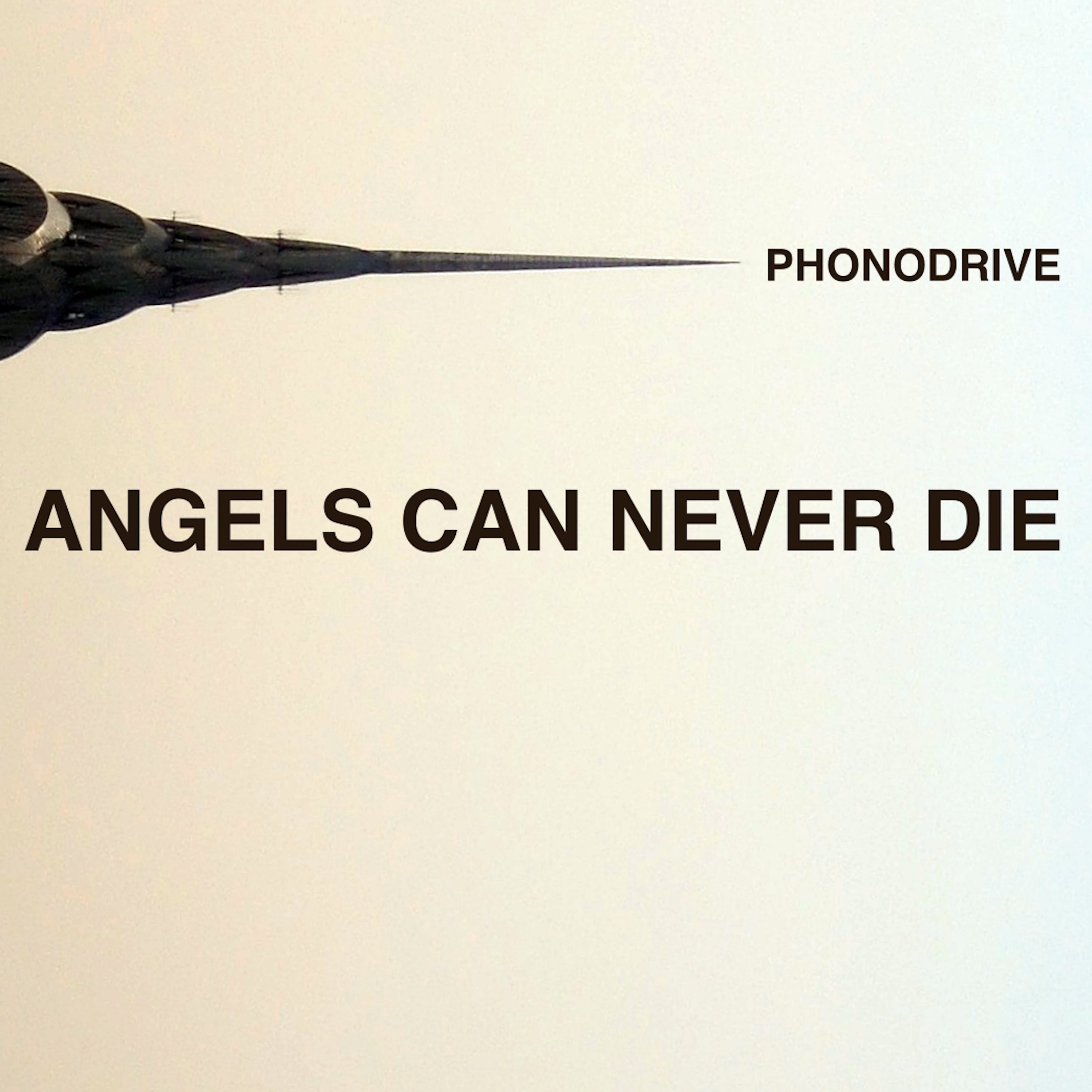 Angels Can Never Die