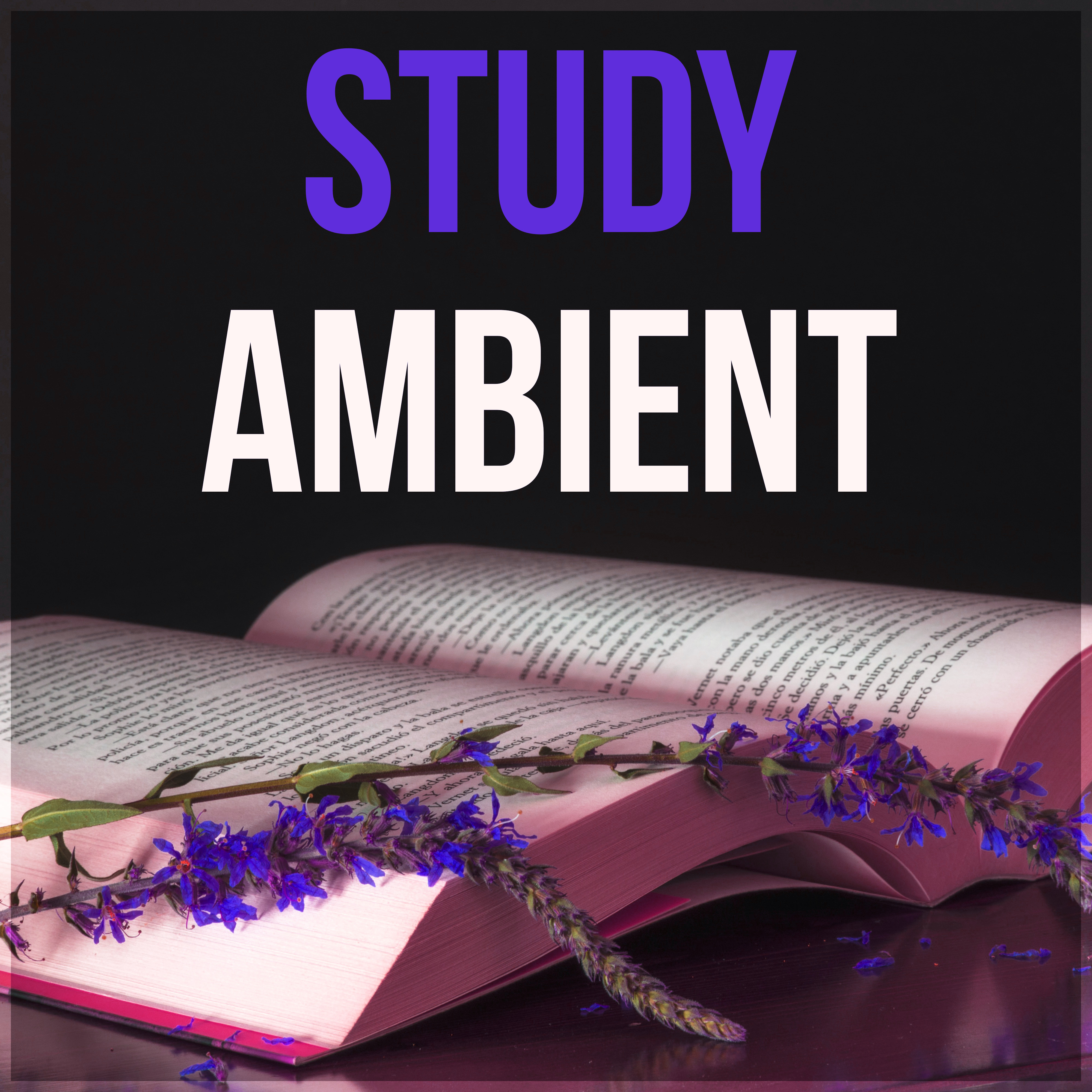 Study Ambient - Brain Power, Concentration Music, Study Music, New Age Natural Sounds, Meditation, Music for Learning