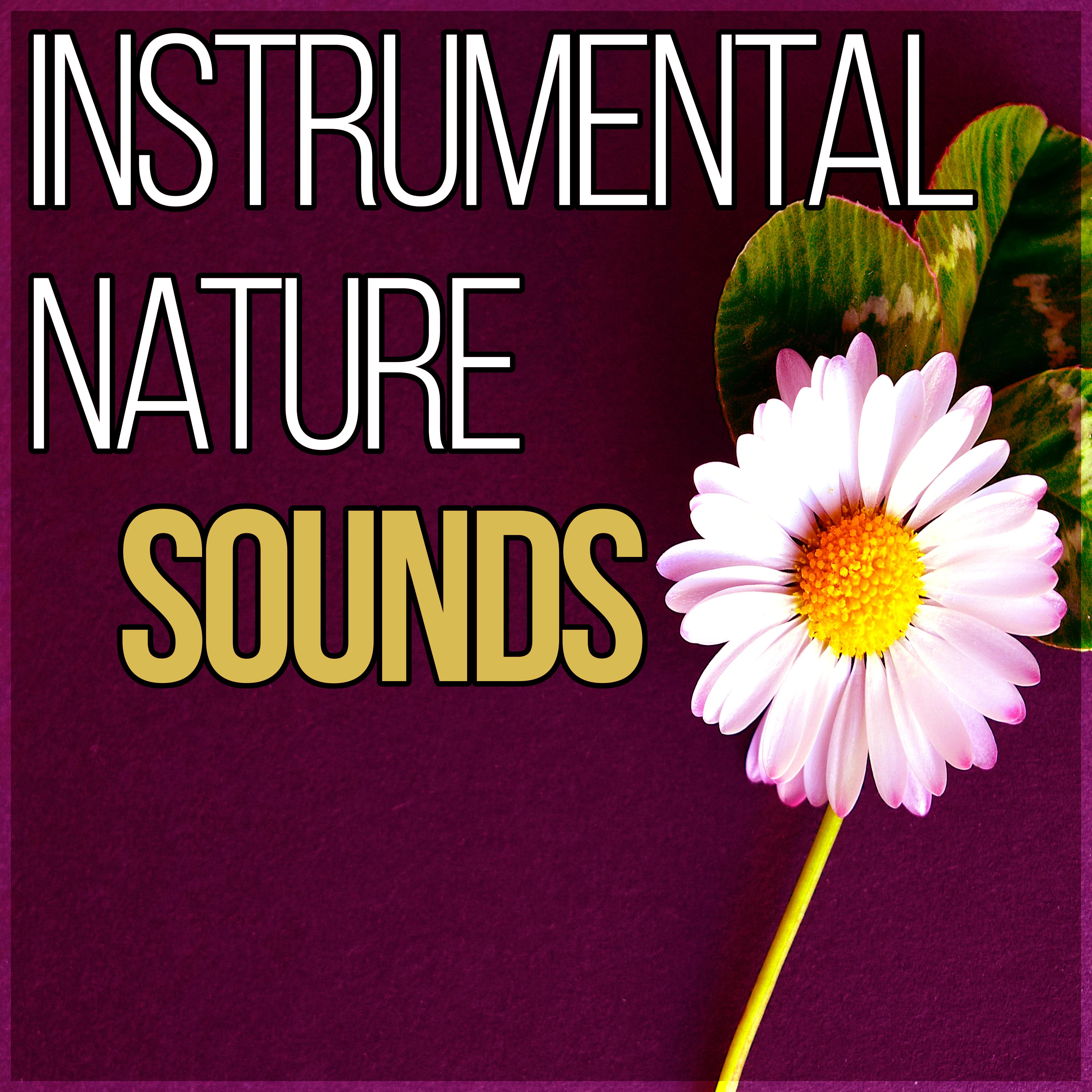 Instrumental Nature Sounds - Peaceful Music with Nature Sounds, Meditation and Stress Relief, Sound Healing Meditation Music Therapy for Relaxation, Chakra Healing, First Steps Hypnosis