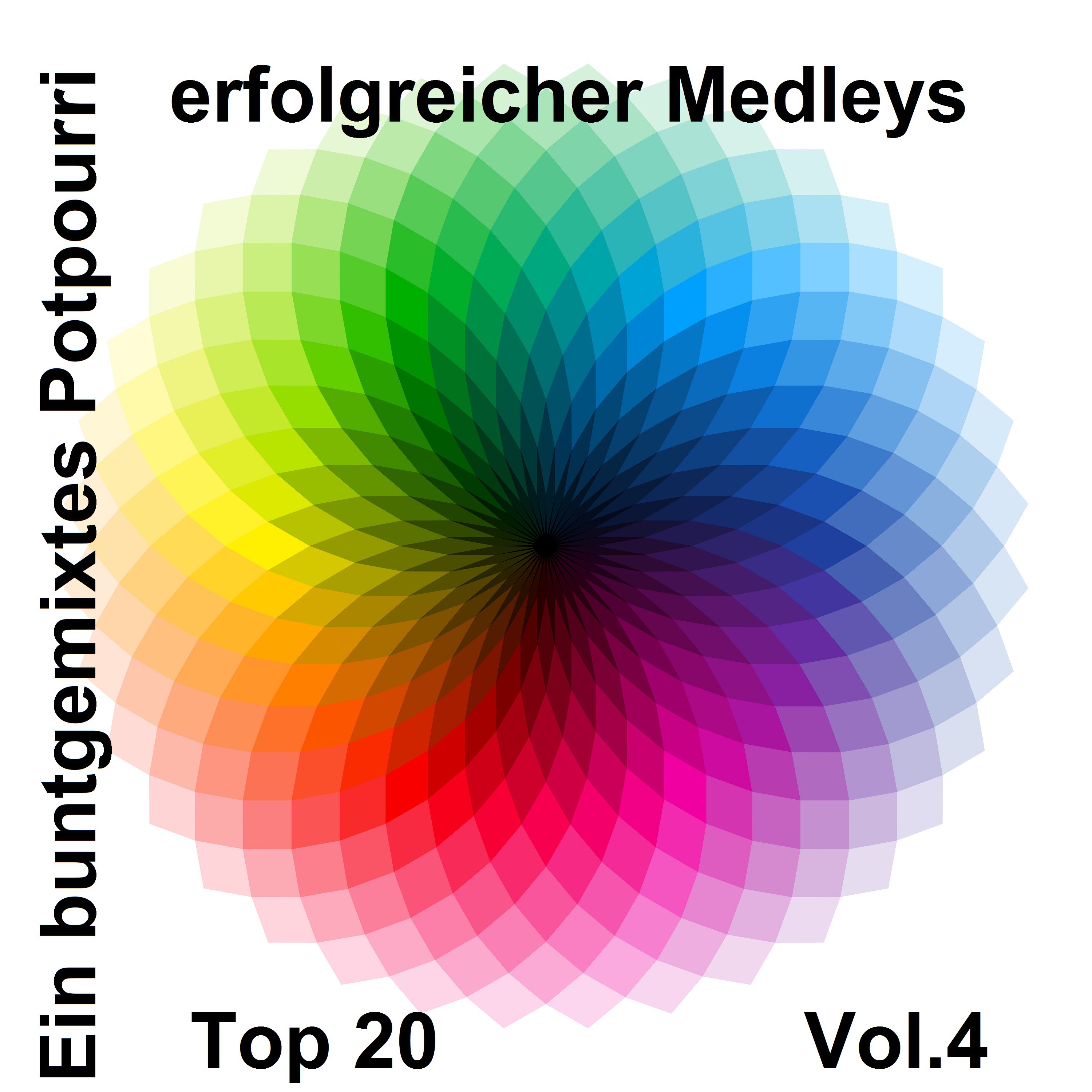 Top 20: Ein buntgemixtes Potpourri erfolgreicher Medleys, Vol. 4