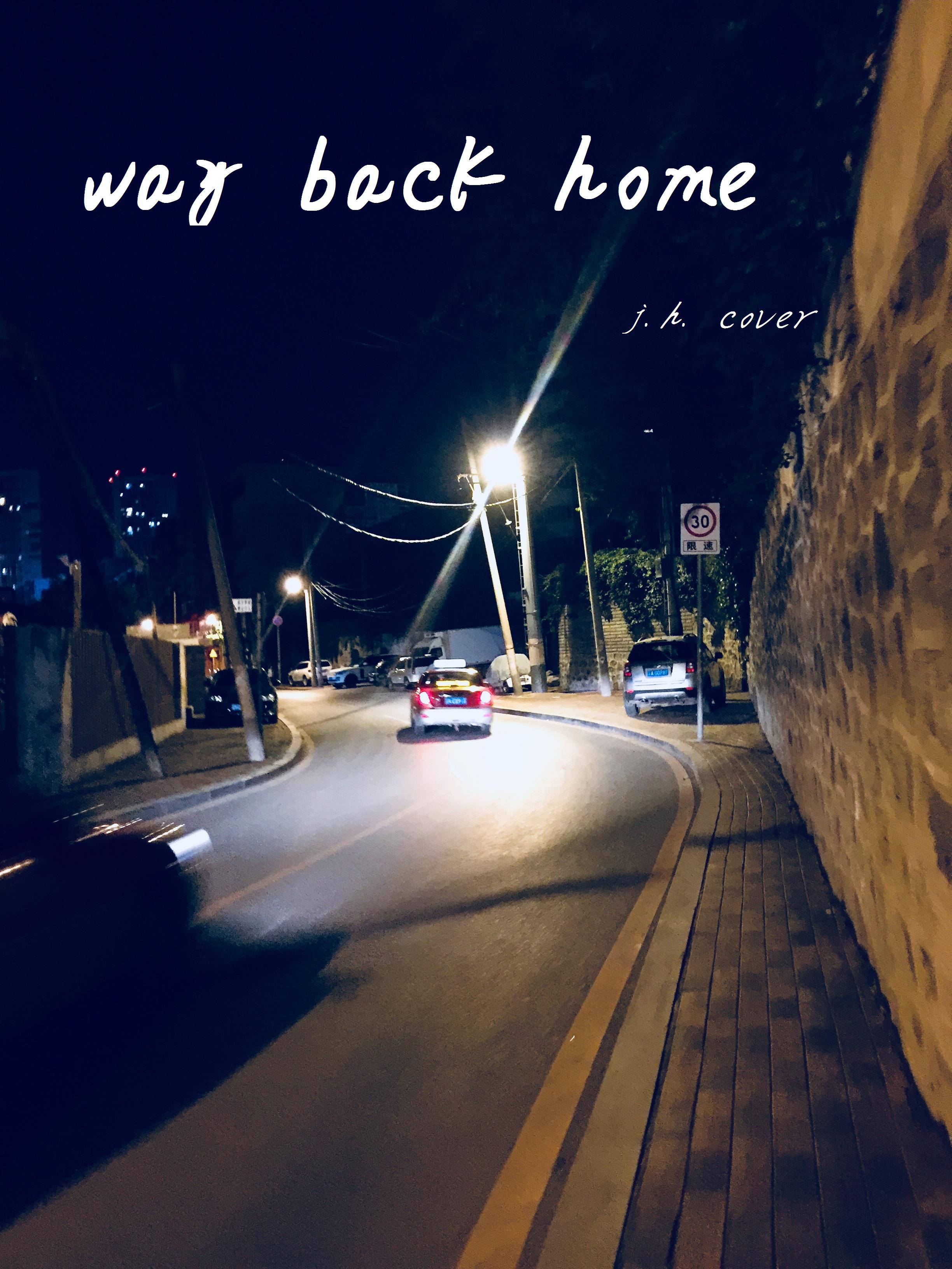 Way Back Home fan zi SHAUN