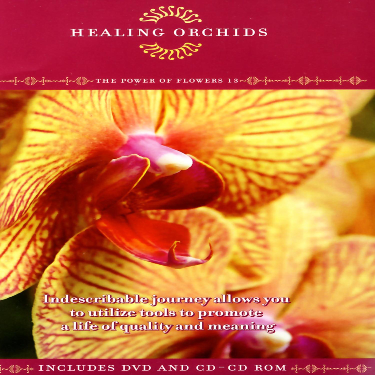Healing Orchids - The Power Of Flowers 13