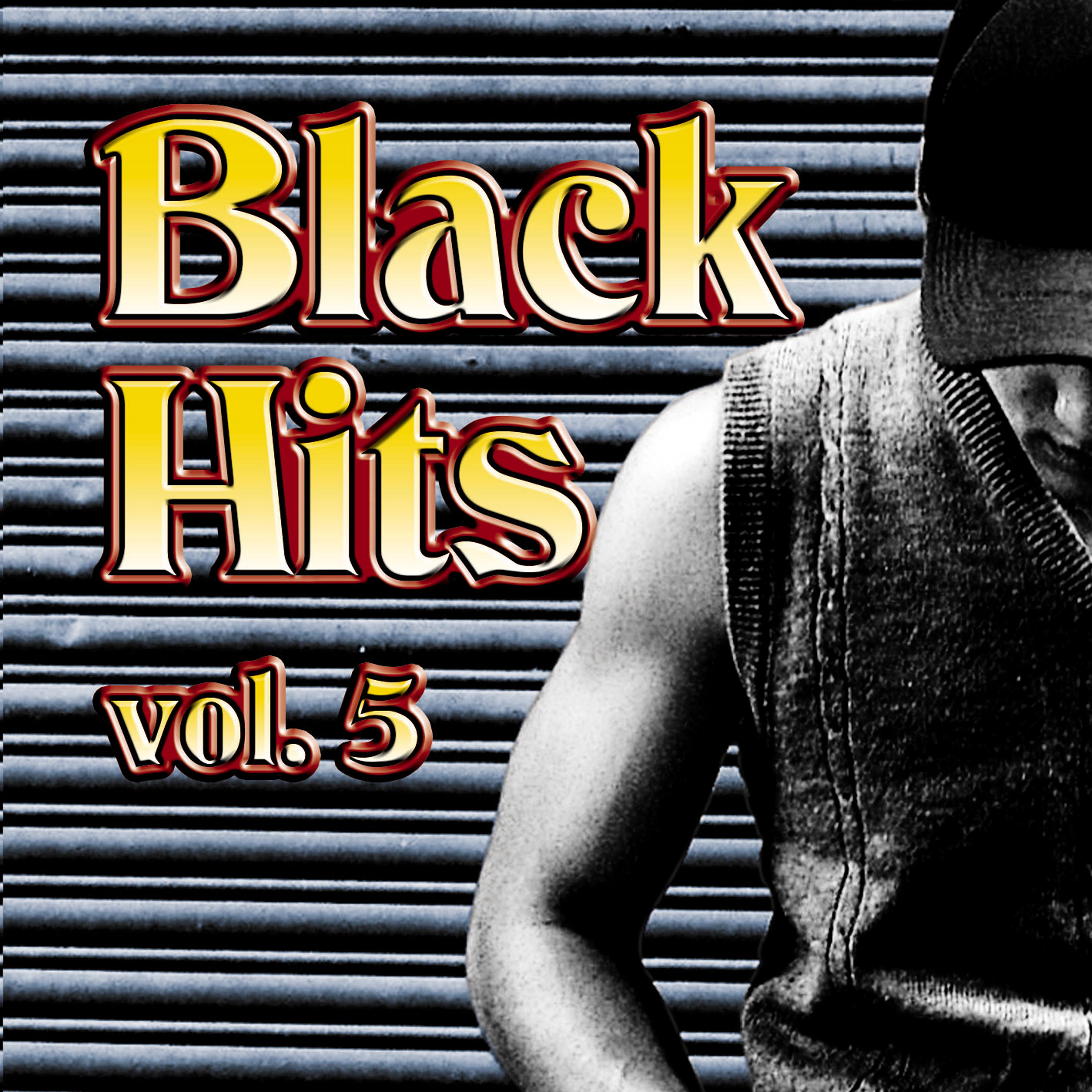 Black Hits, Vol. 5