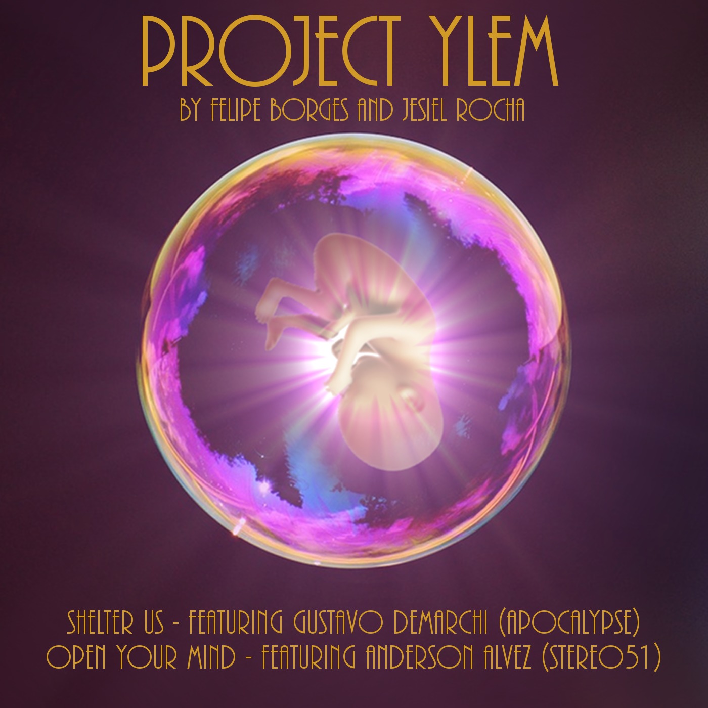 Project Ylem