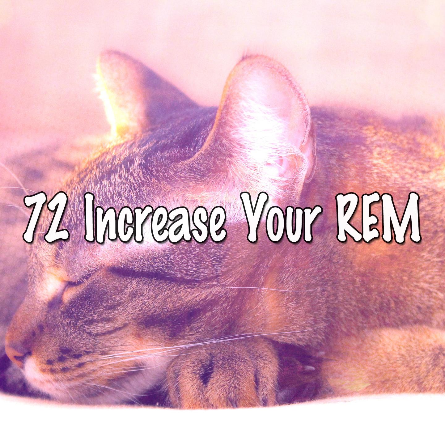 72 Increase Your REM