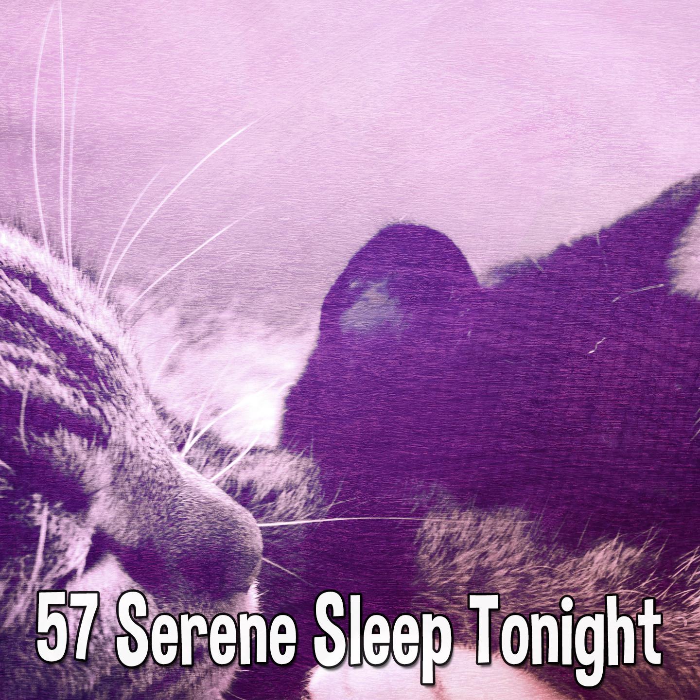 57 Serene Sleep Tonight