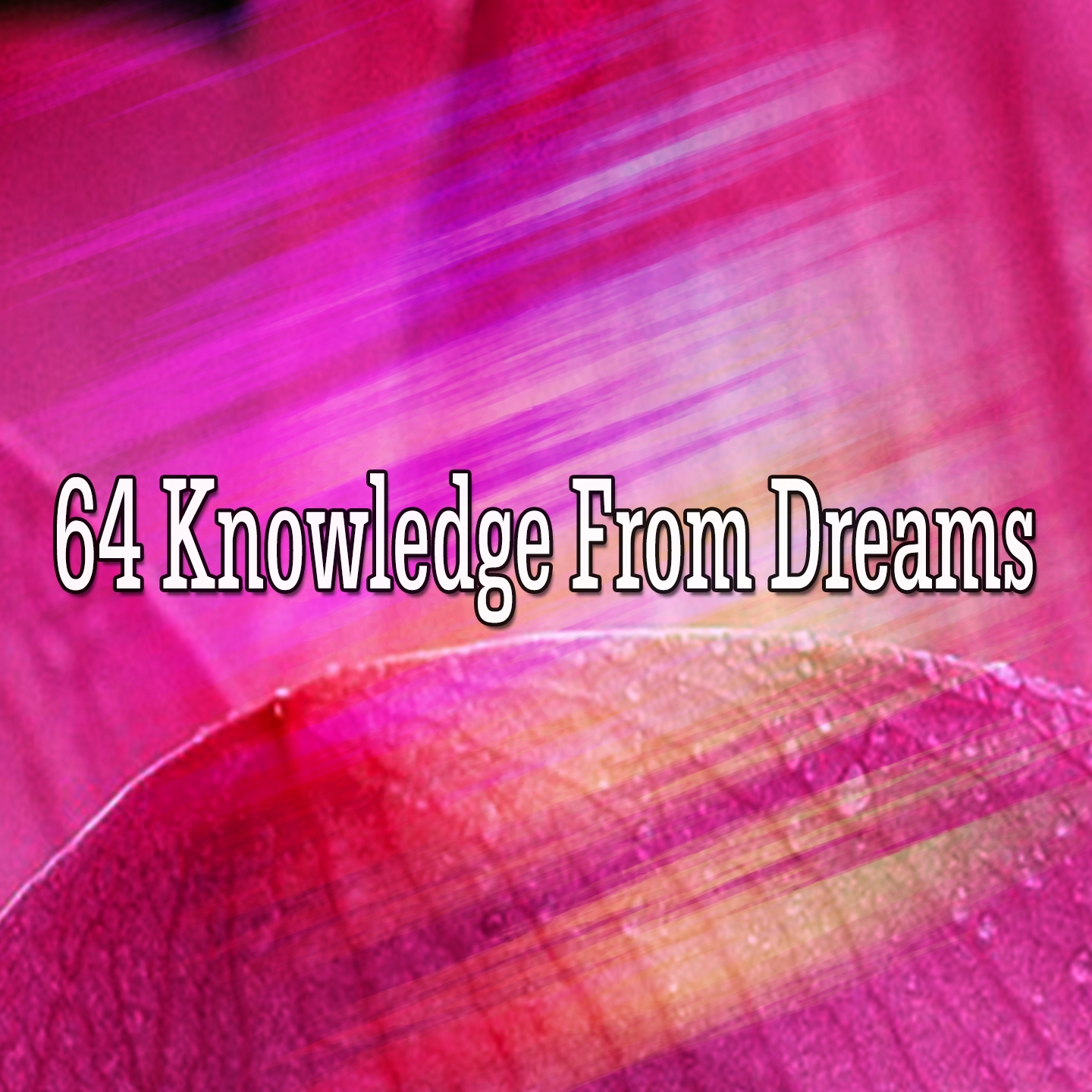 64 Knowledge From Dreams