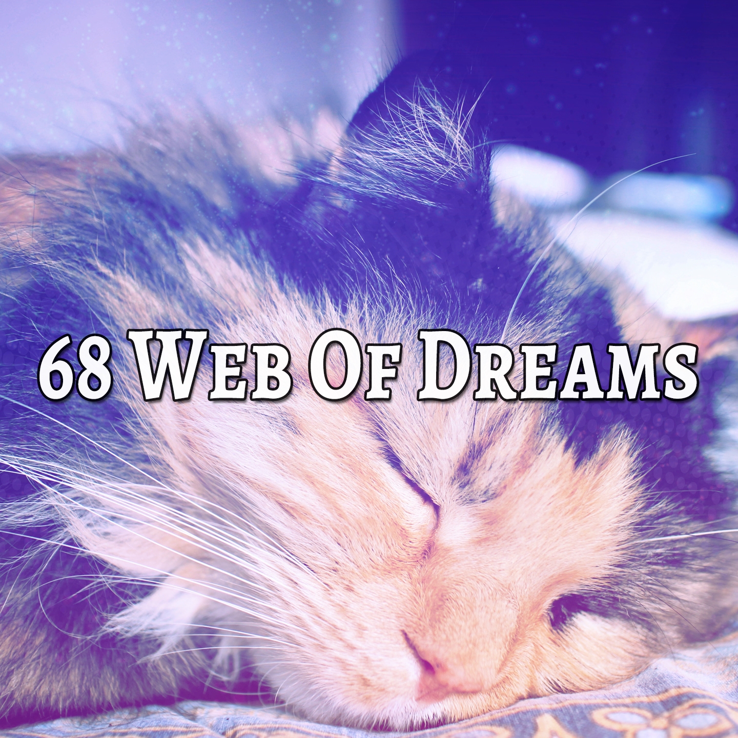 68 Web Of Dreams