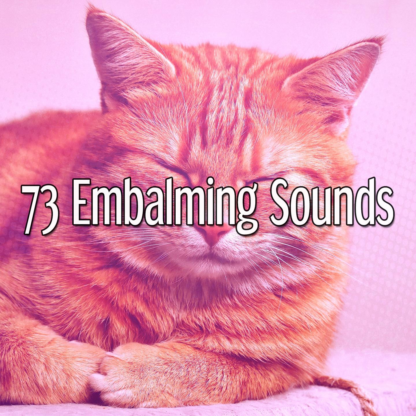 73 Embalming Sounds