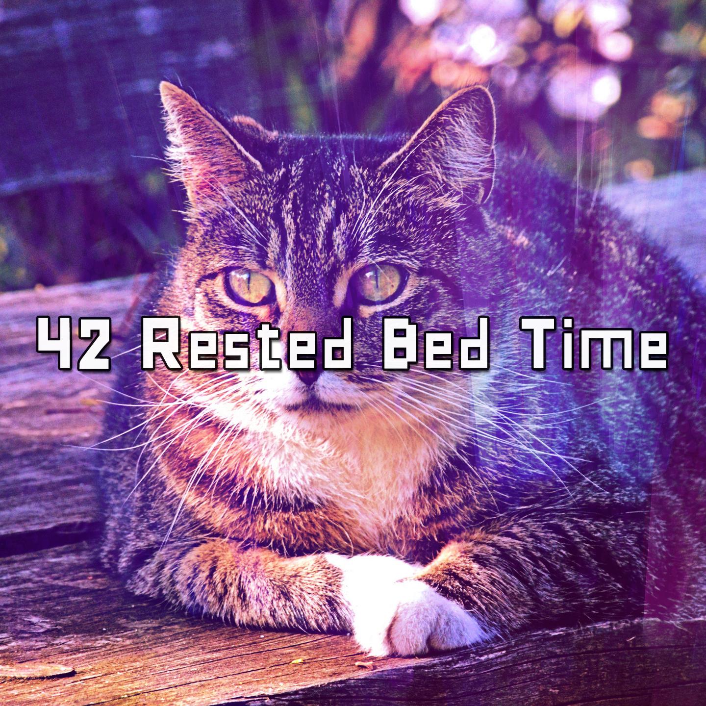 42 Rested Bed Time