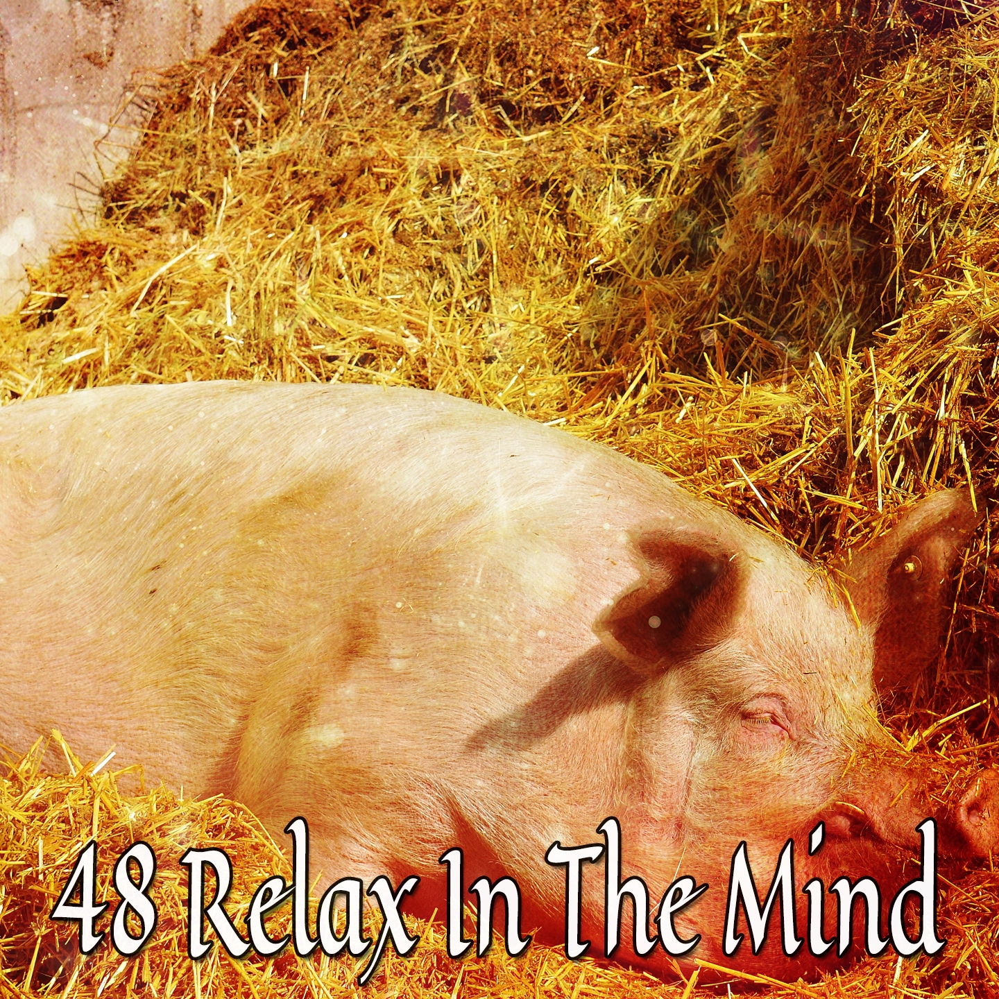 48 Relax In The Mind