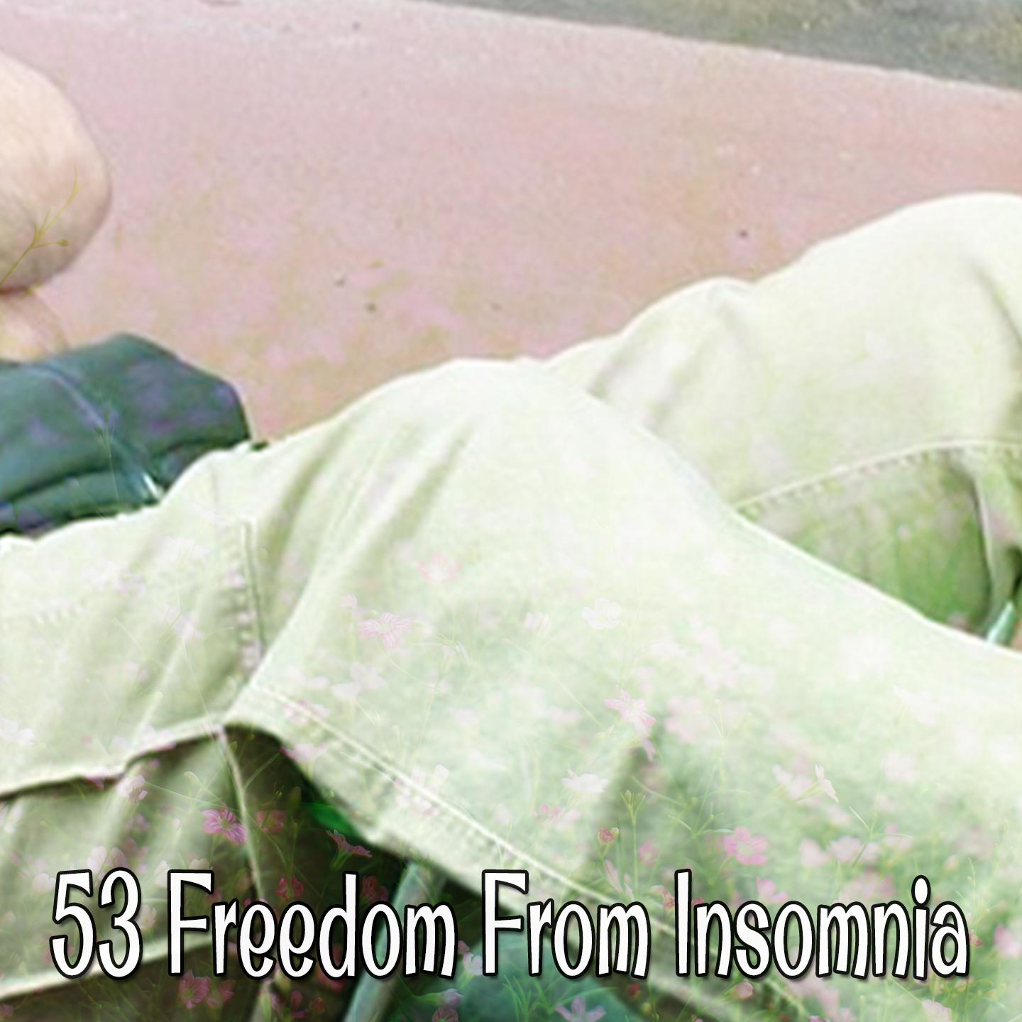 53 Freedom From Insomnia