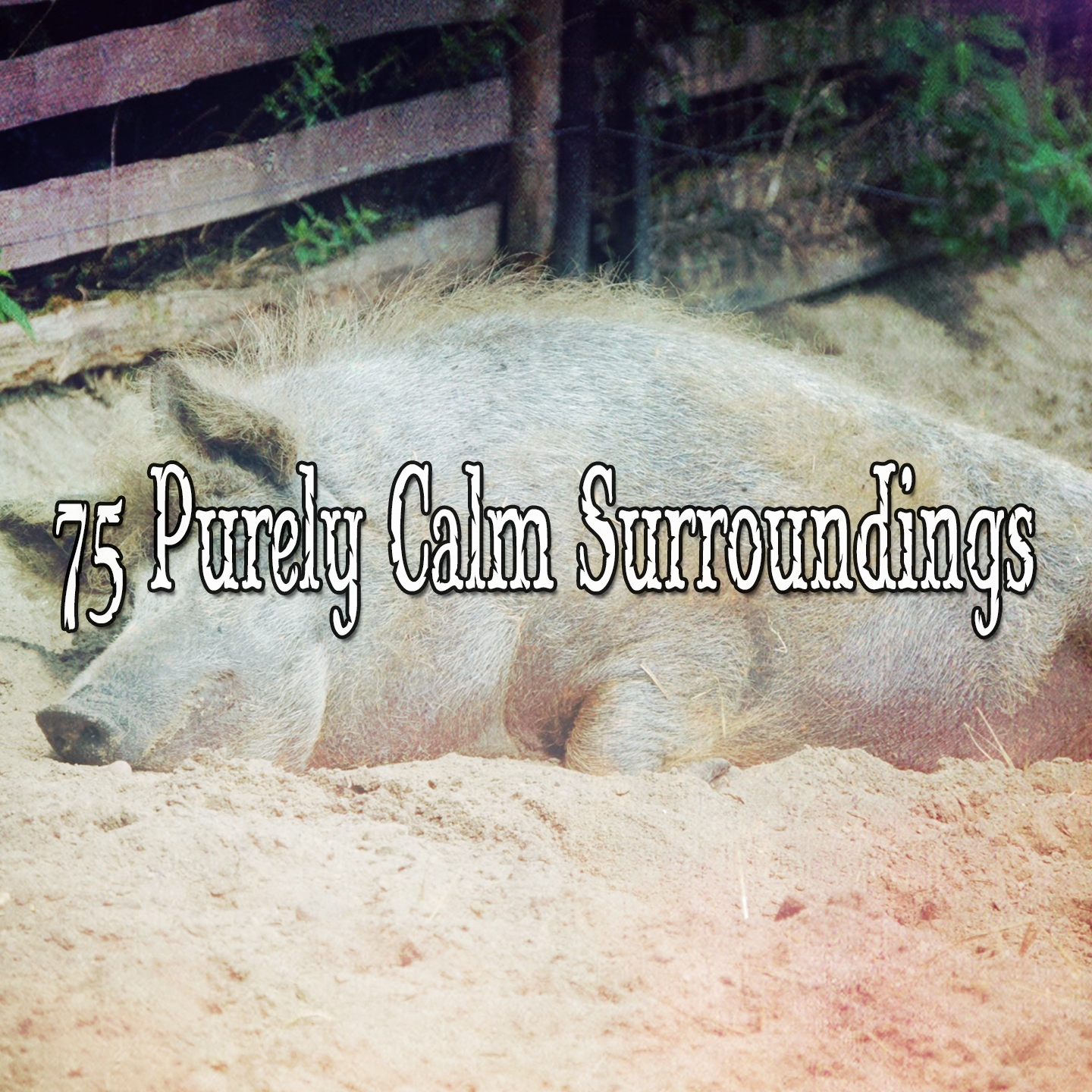 75 Purely Calm Surroundings
