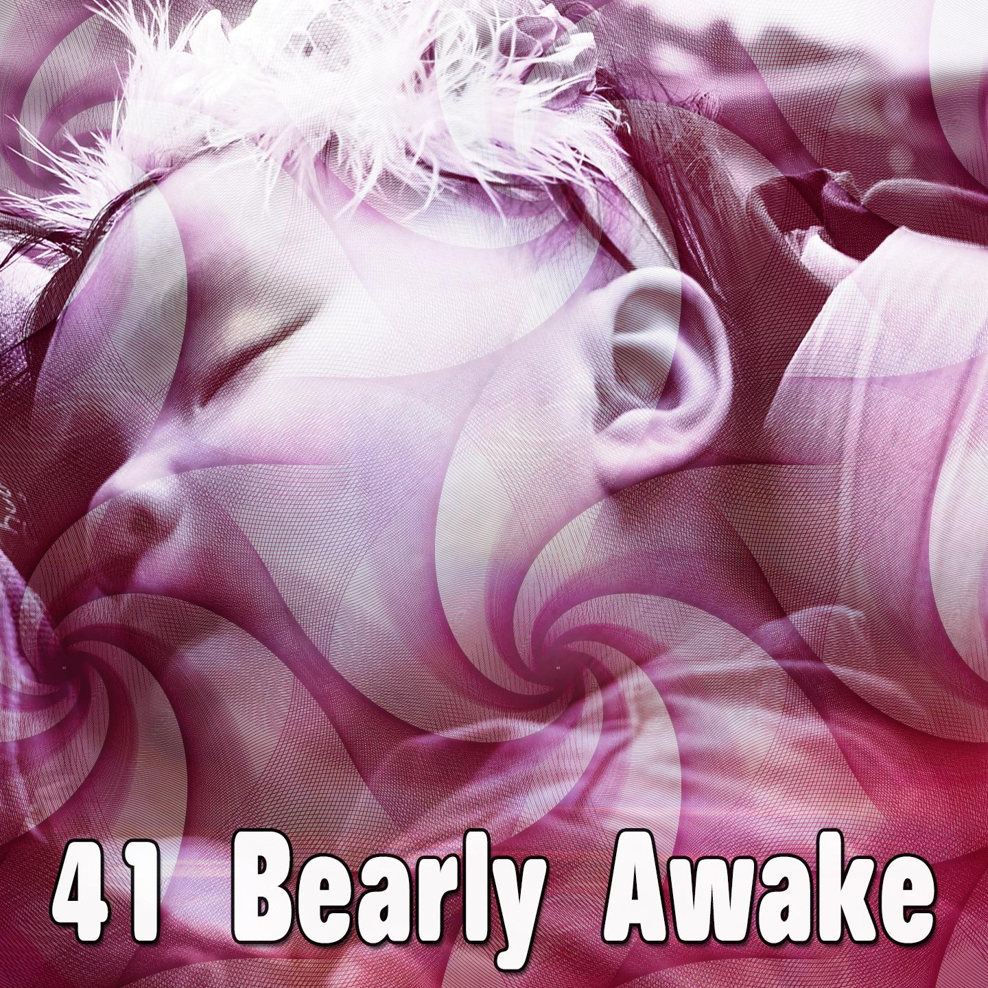 41 Bearly Awake