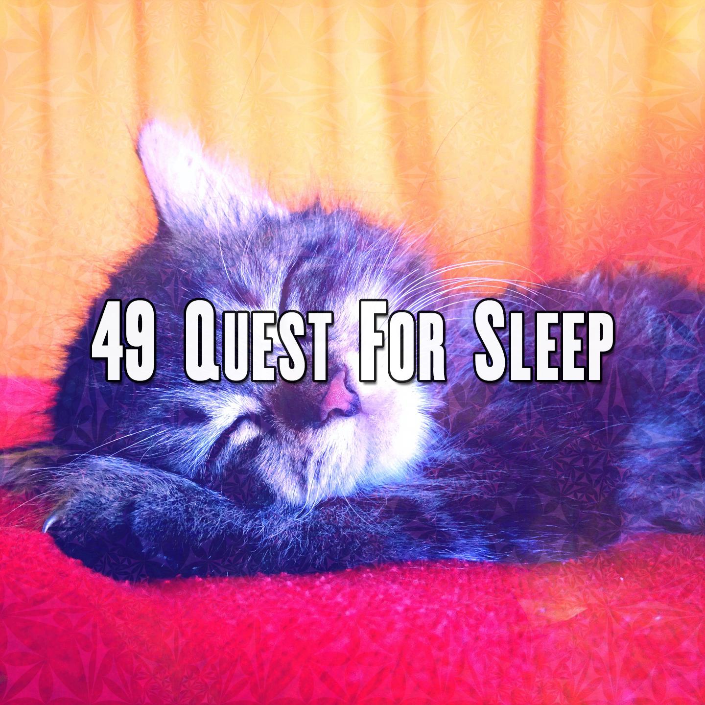 49 Quest For Sleep