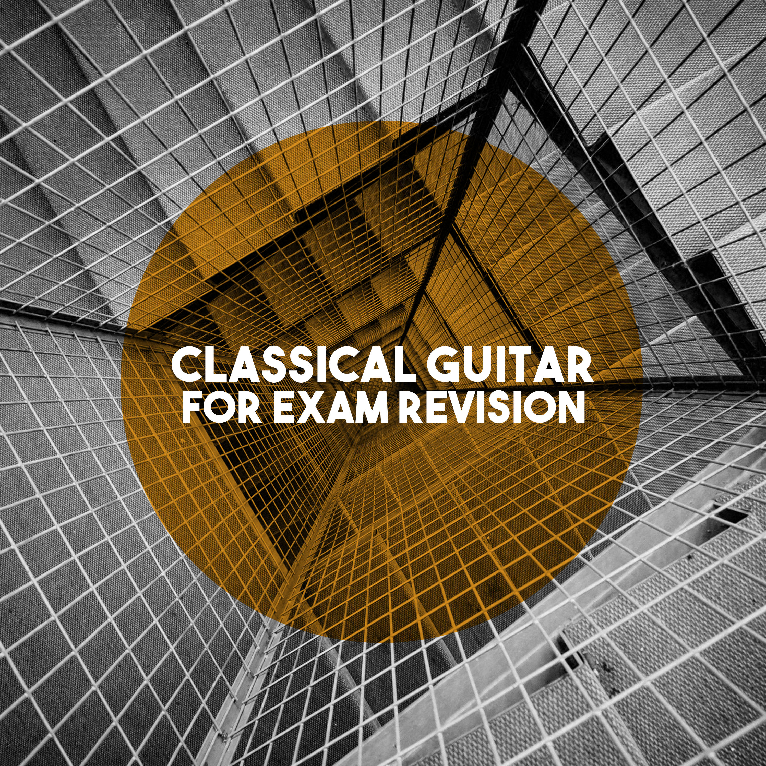 Concerto for Guitar and Strings in A Major, Op. 8: Allegro