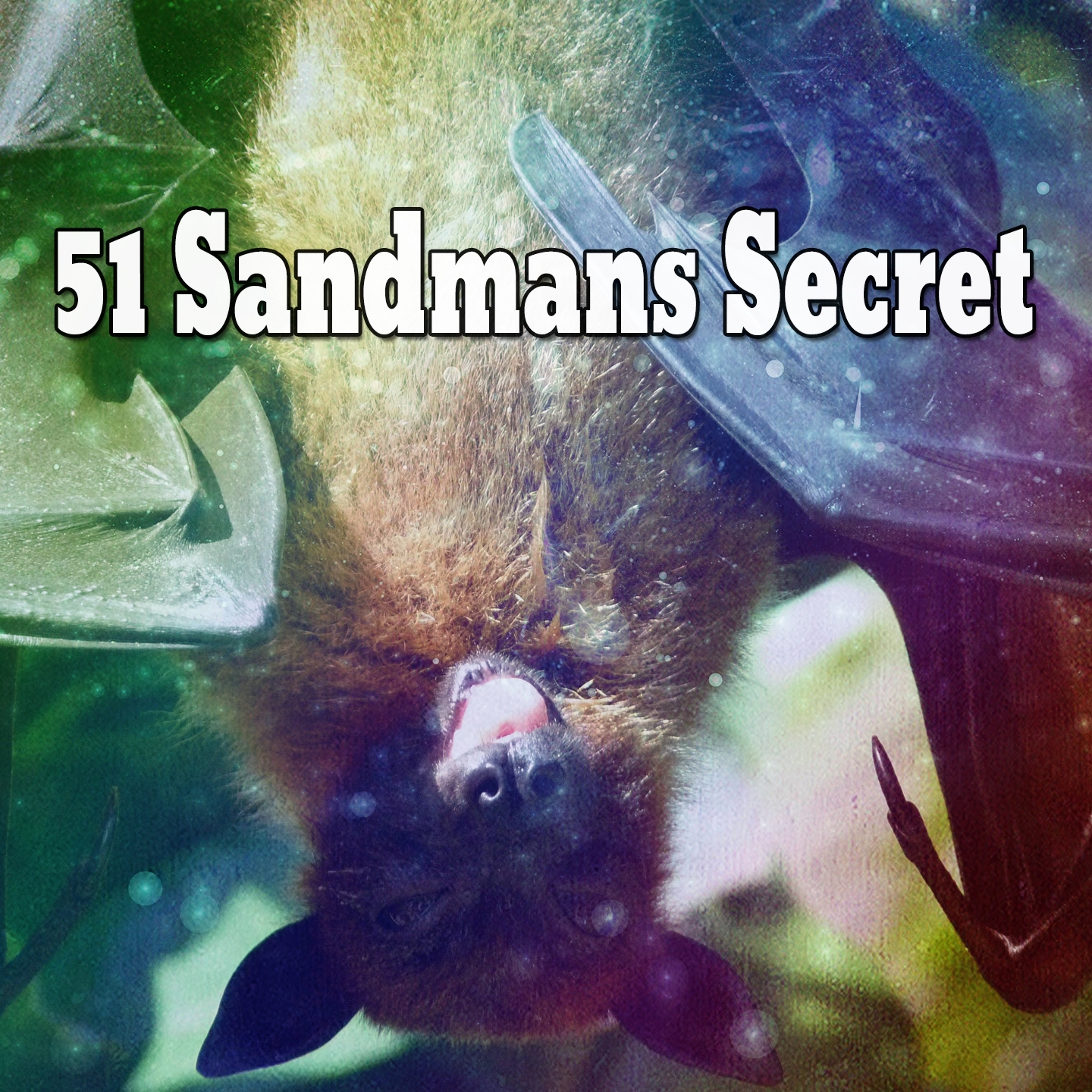 51 Sandmans Secret