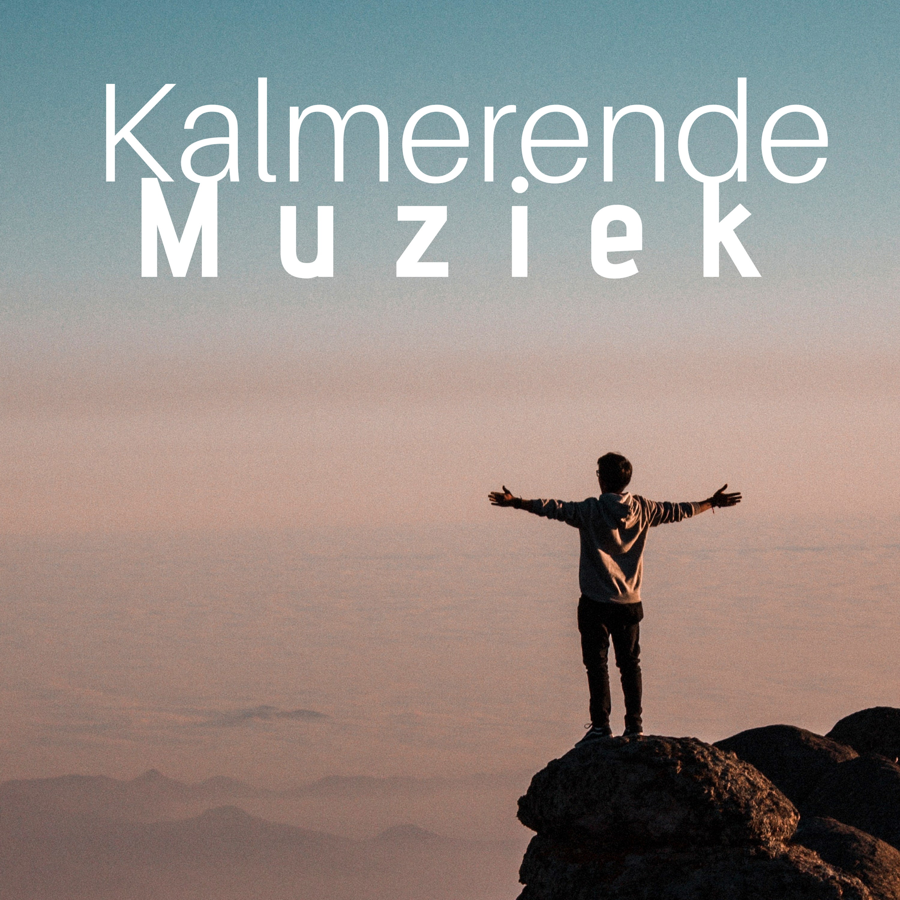 Kalmerende Muziek