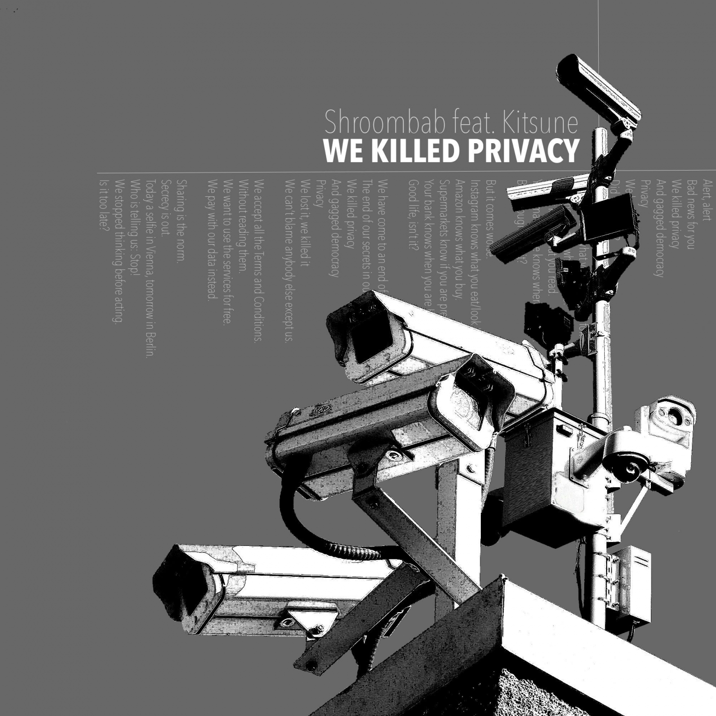 We Killed Privacy (Polarity Remix)