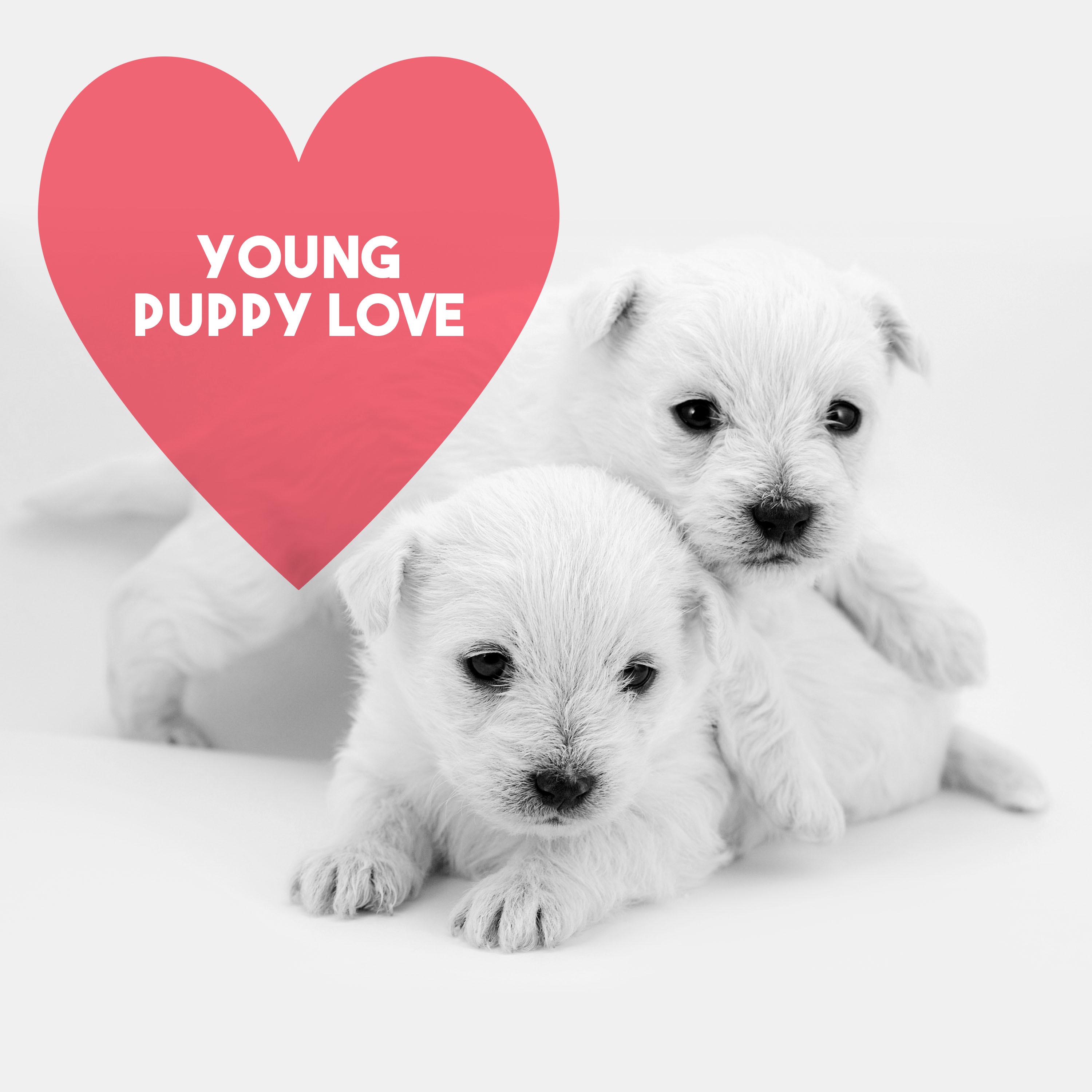 Young Puppy Love