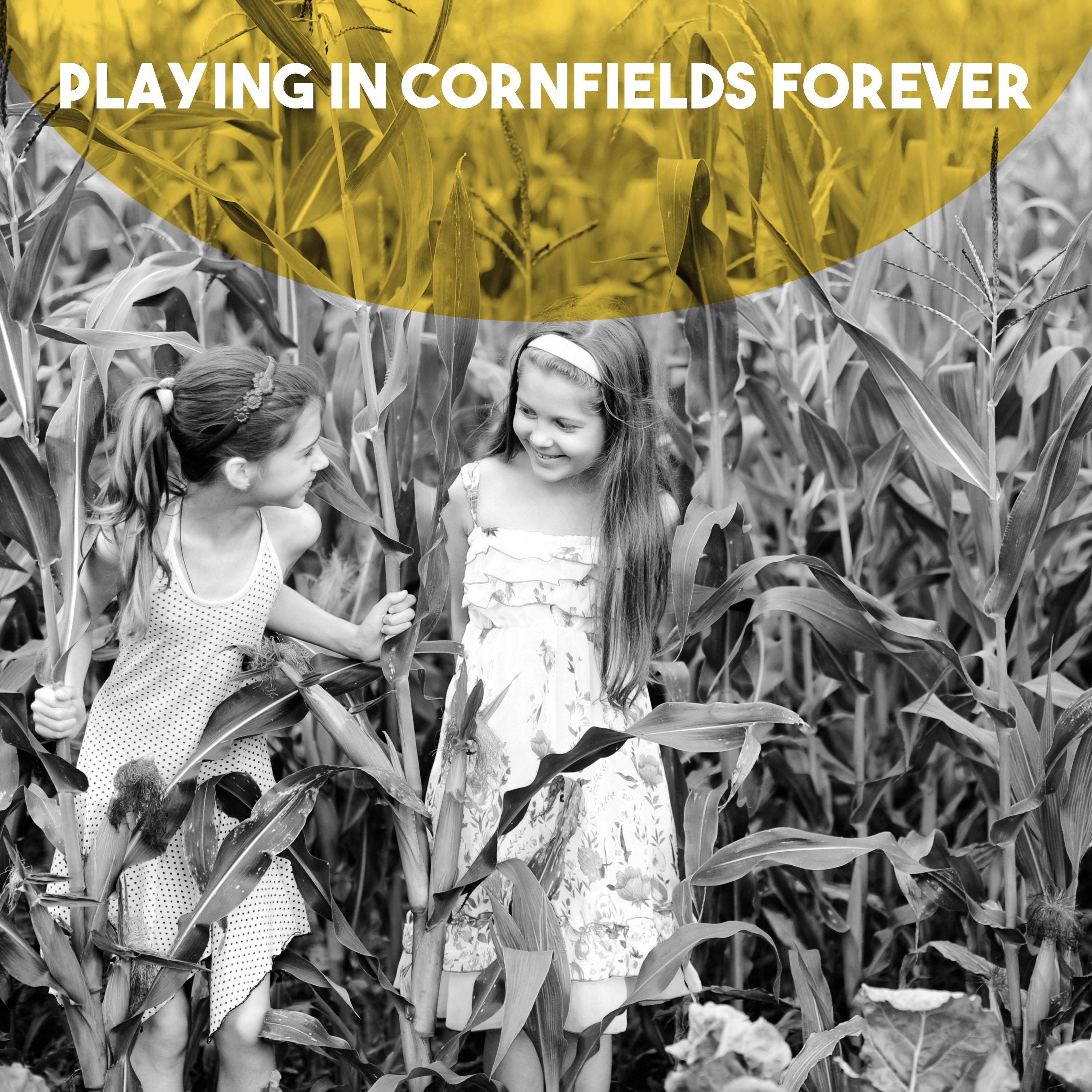 Playing in Cornfields Forever