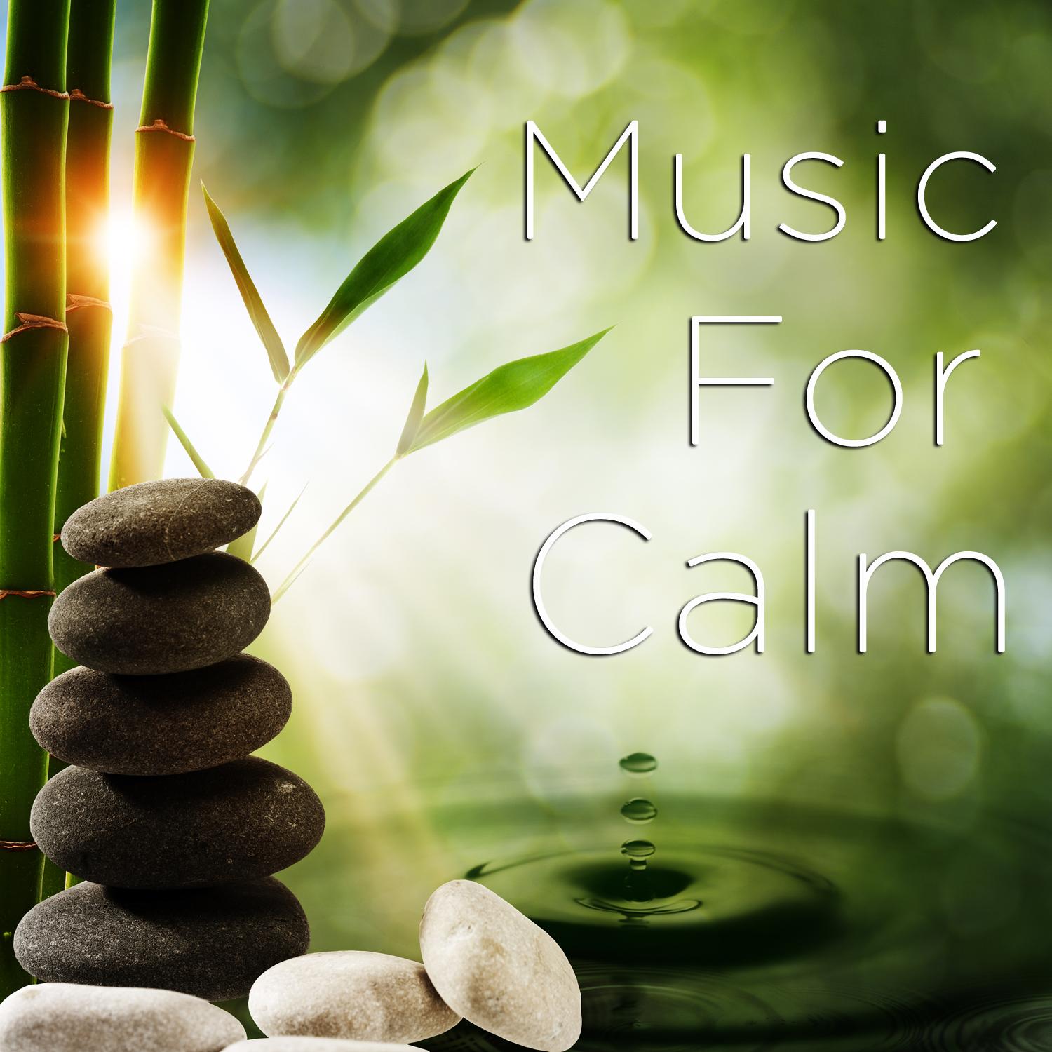 Music for Calm: Relaxing Music, Nature Sounds, Meditation Music