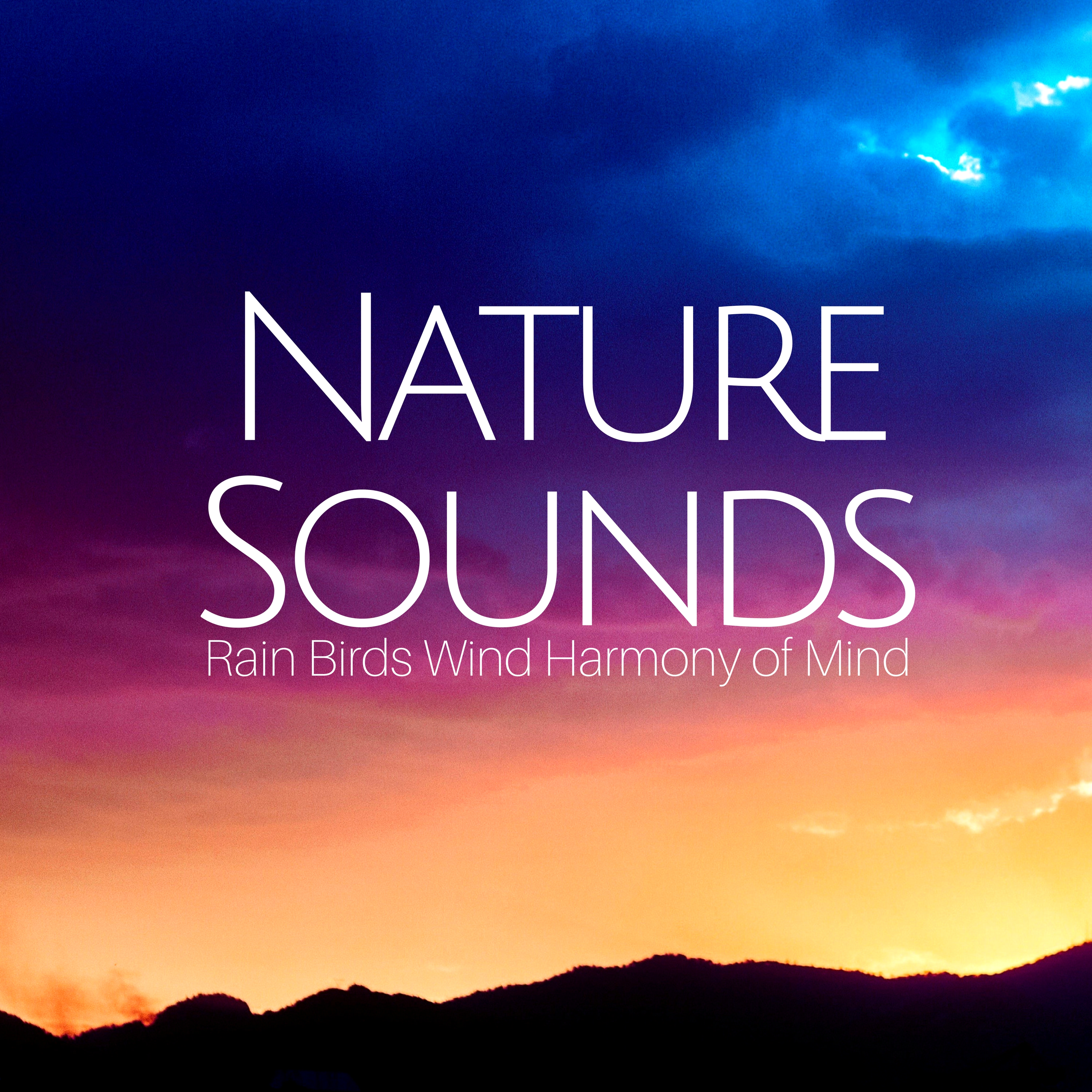 Nature Sounds - Rain, Birds, Wind, Harmony of Mind, Tibetan Meditation Music