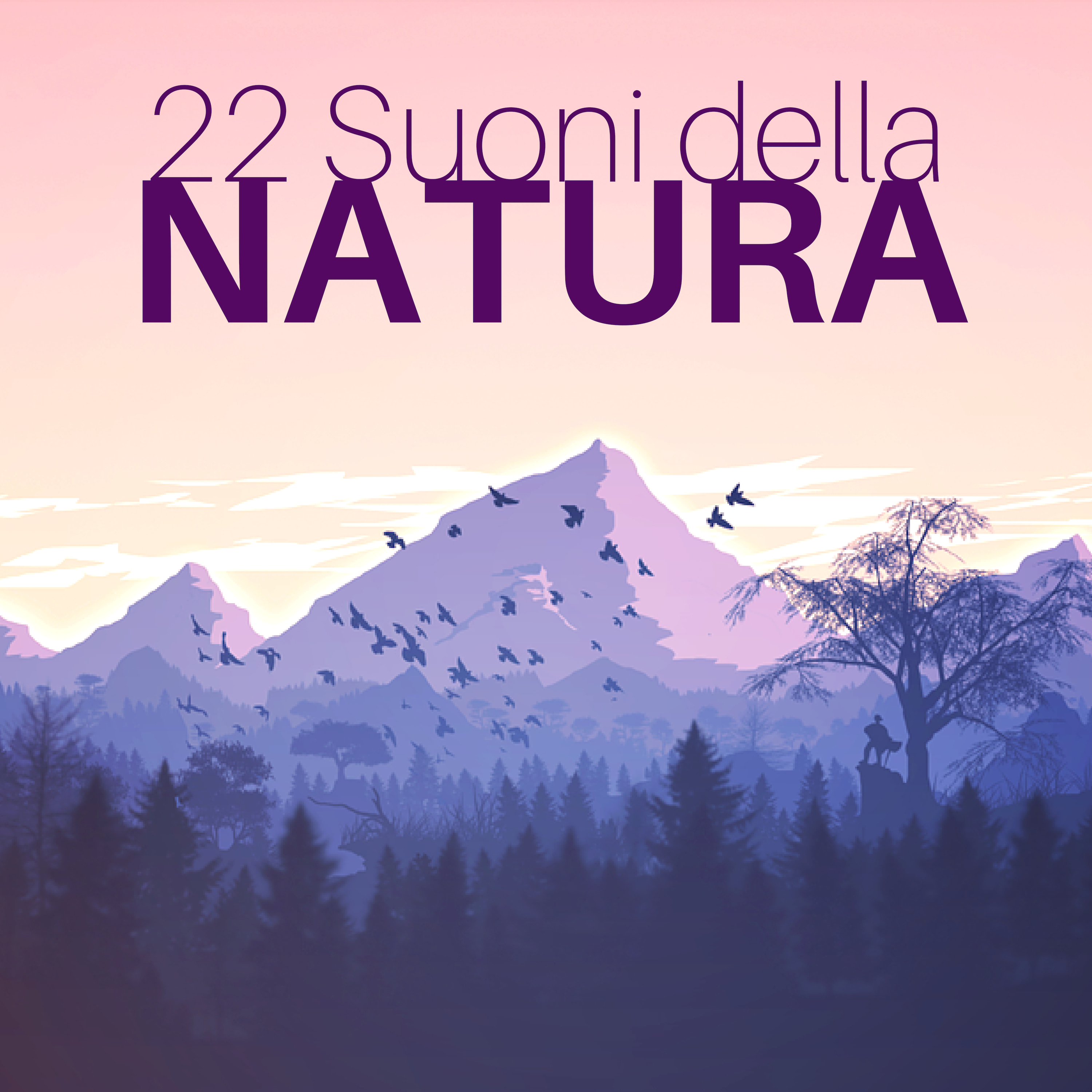 22 Suoni della Natura CD