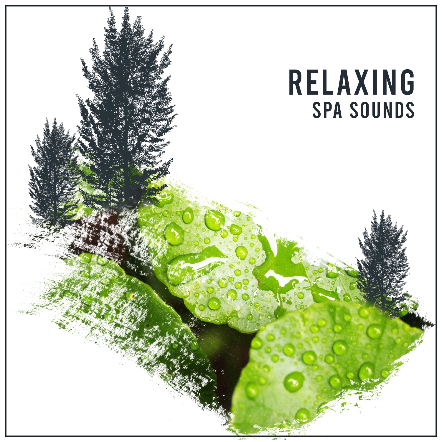 14 Relaxing Spa Sounds, Meditate, Massage, Relax and Practise Yoga and Mindfulness