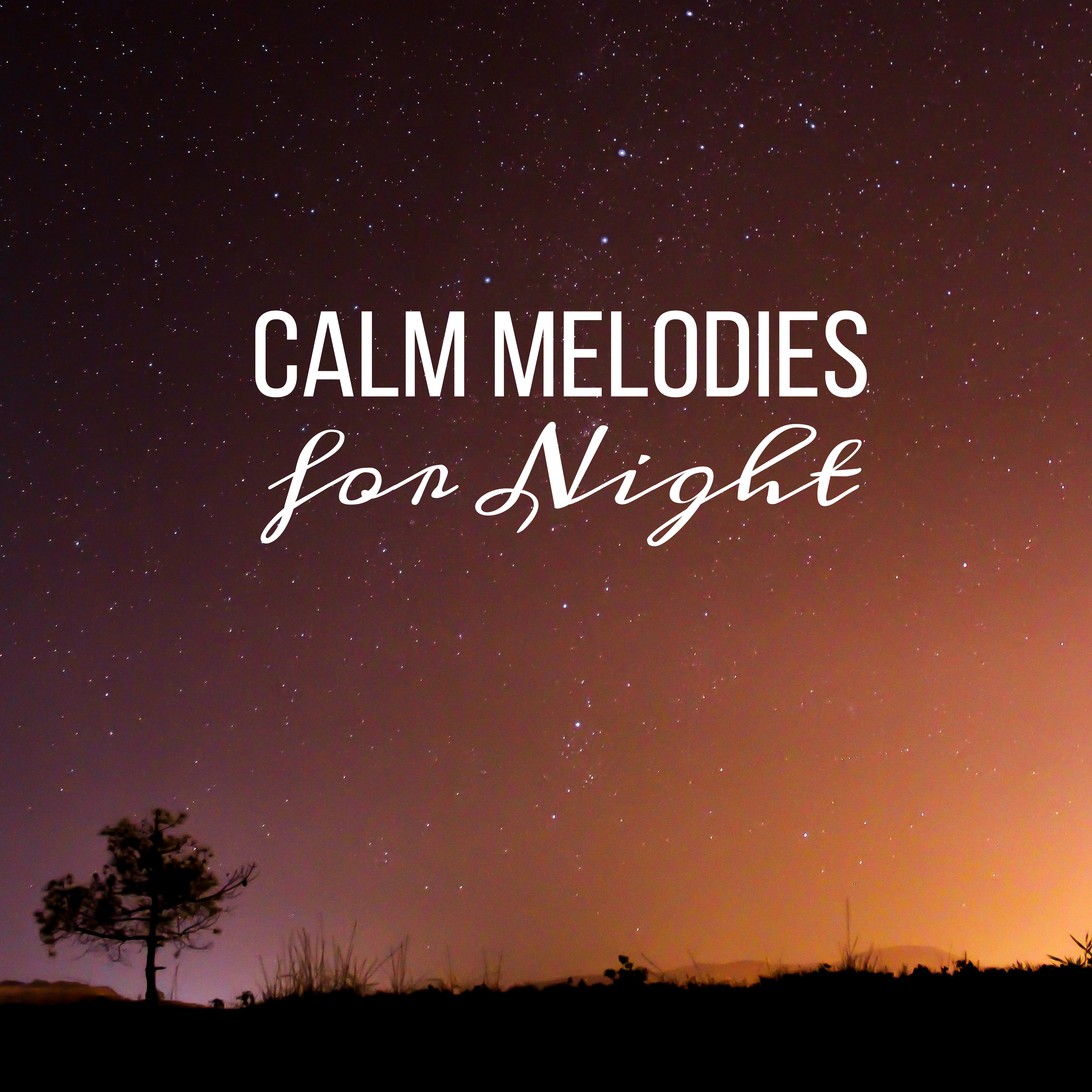Calm Melodies for Night