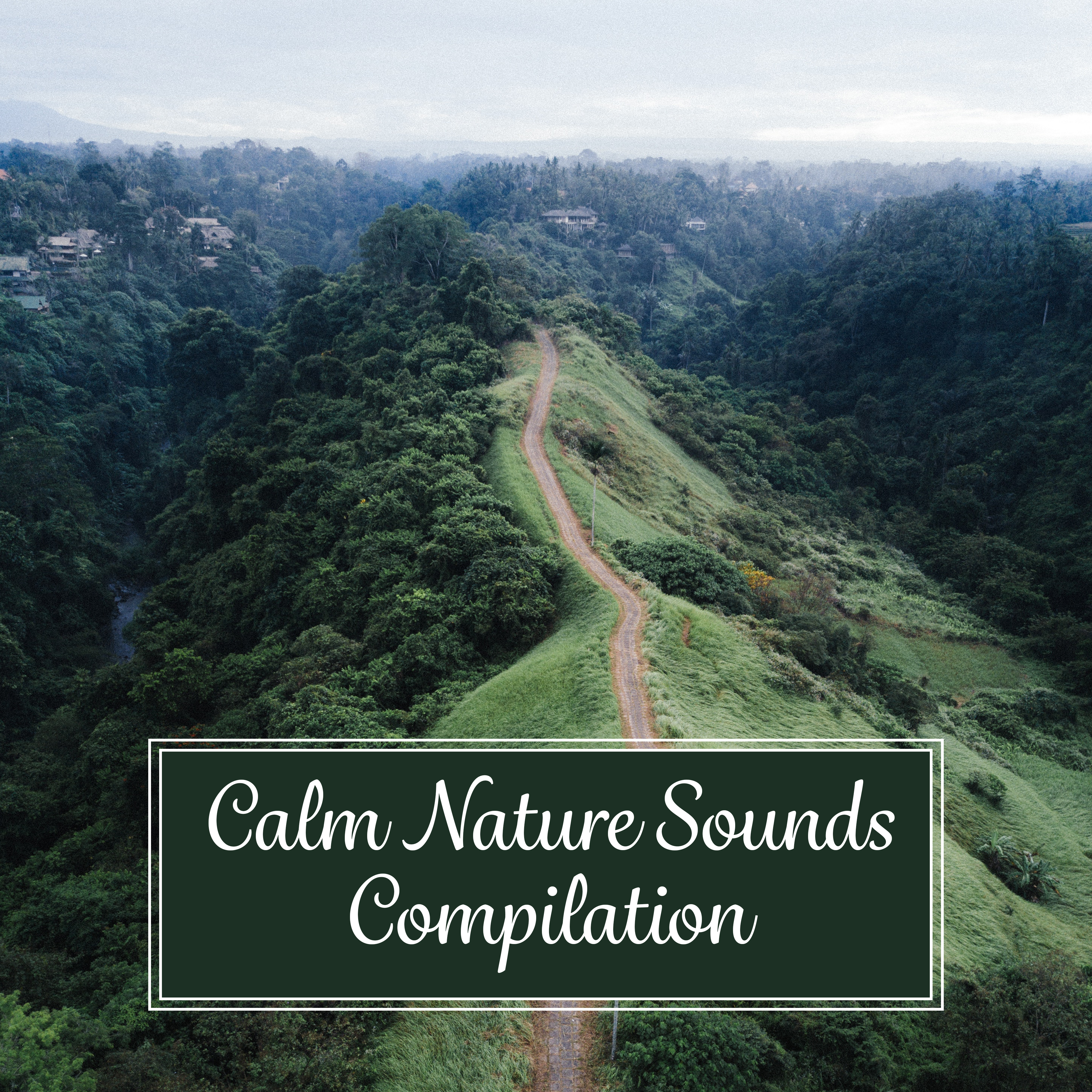 Soothing Nature Sounds