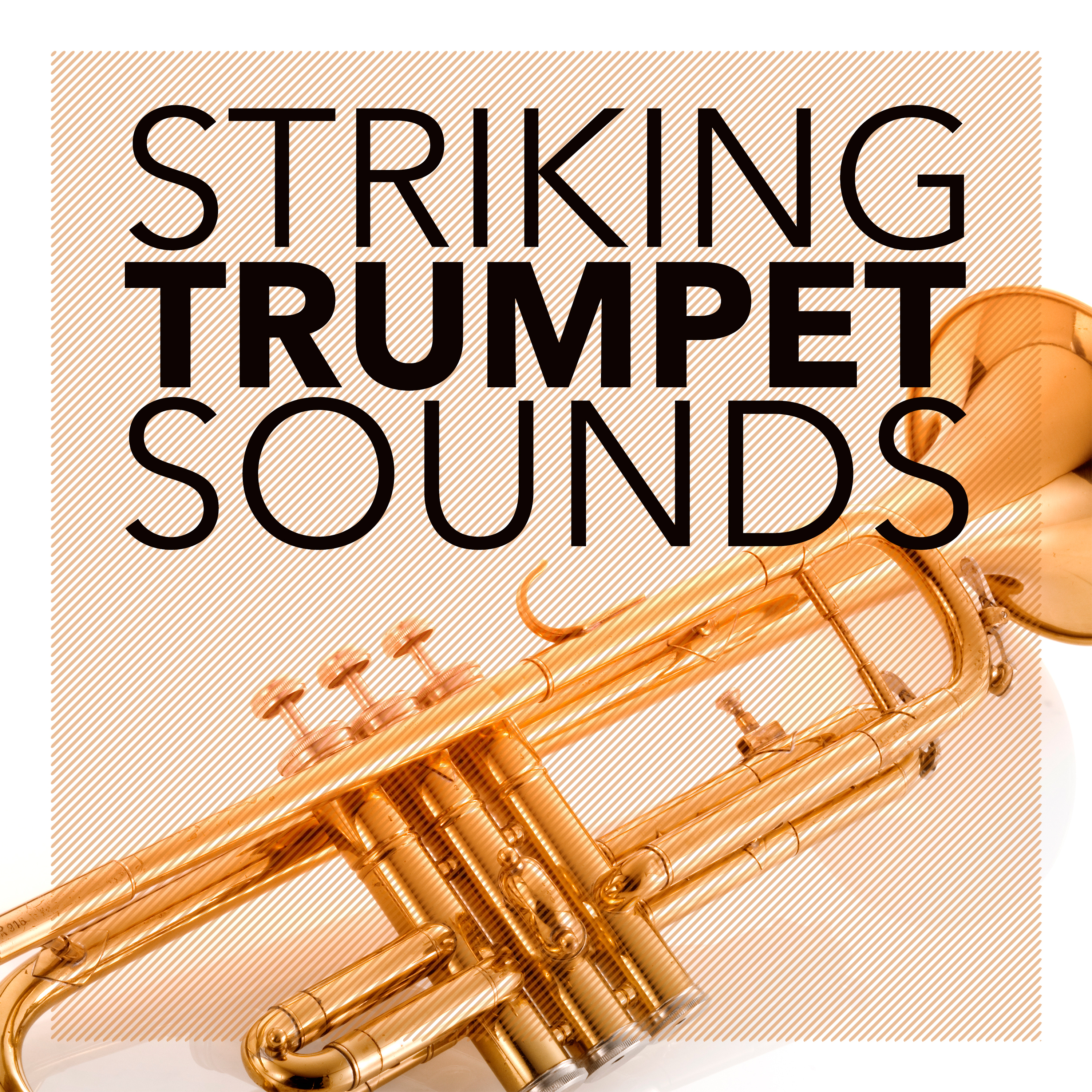 Striking Trumpet Sounds
