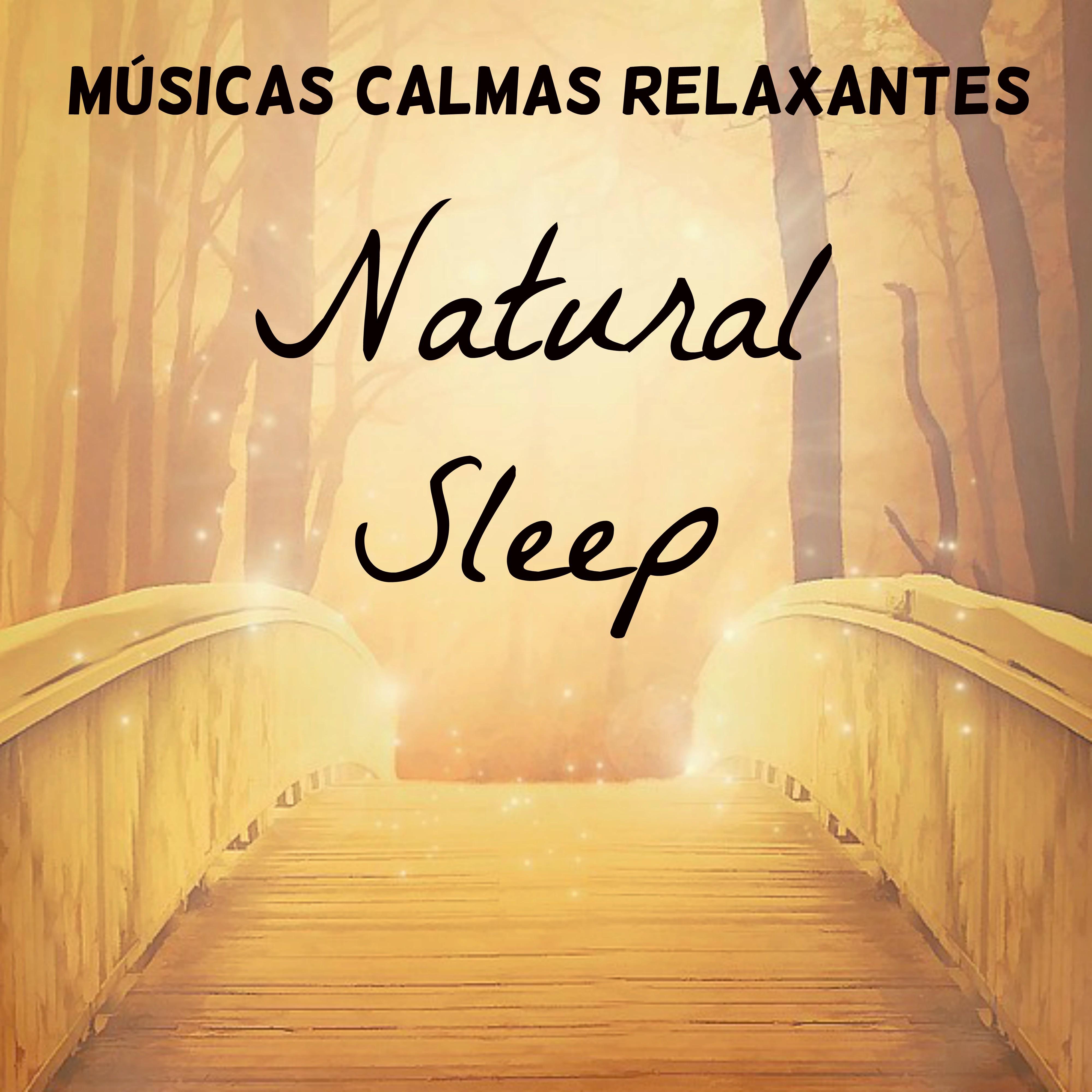 Natural Sleep  Mu sicas Calmas Relaxantes para Retiro Medita o Chakras do Corpo Tratamento Espiritual com Sons Naturais Instrumentais New Age