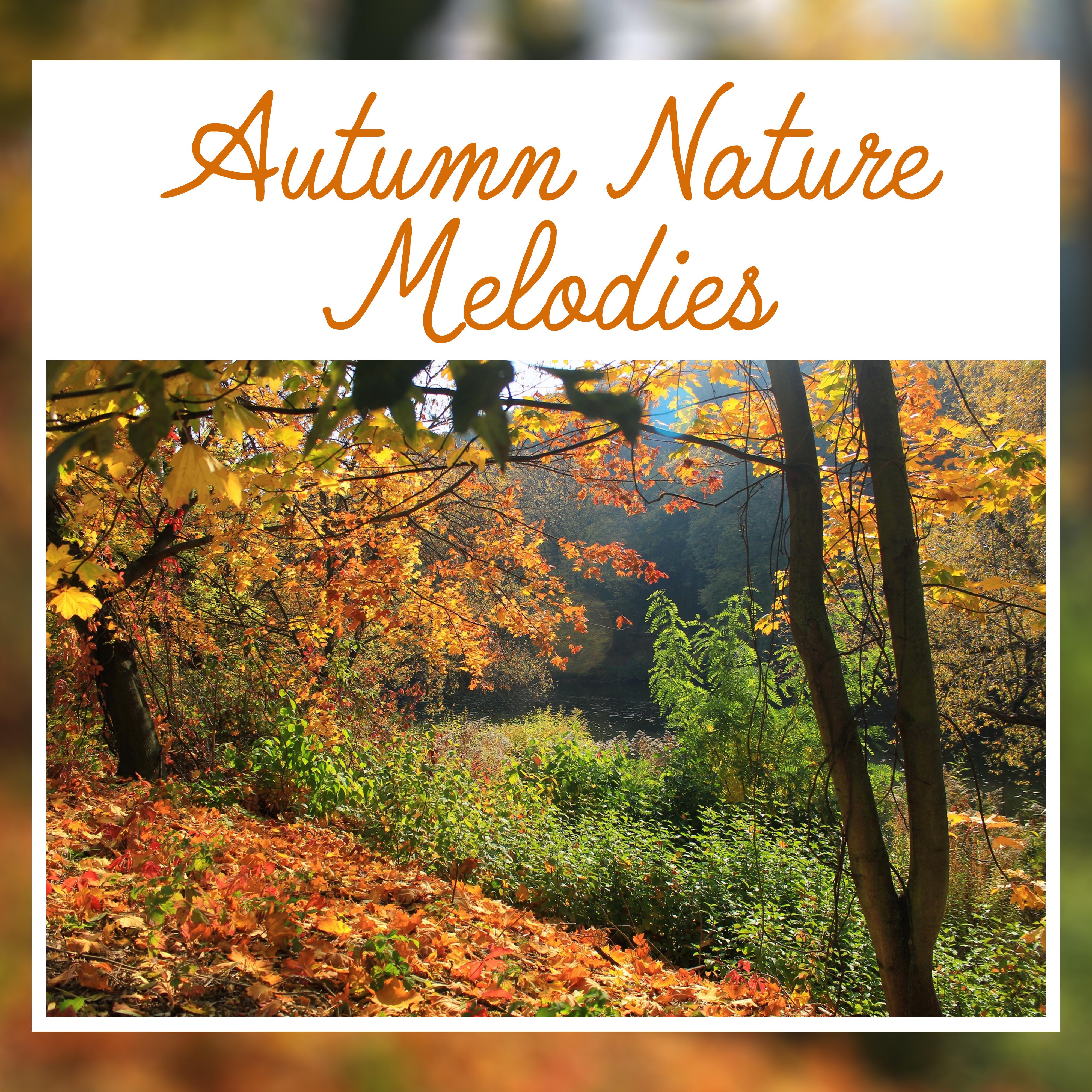 Autumn Nature Melodies