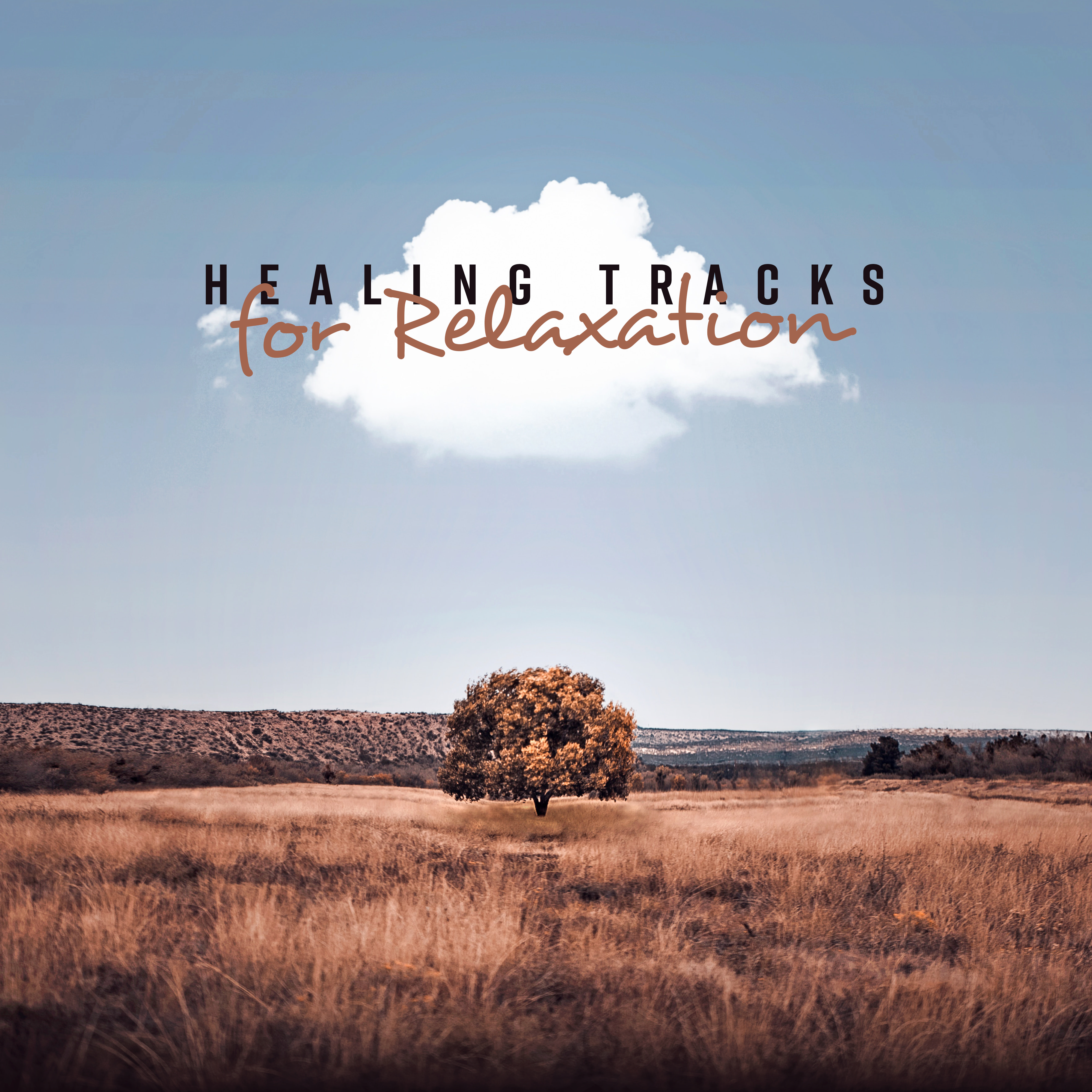 Healing Tracks for Relaxation