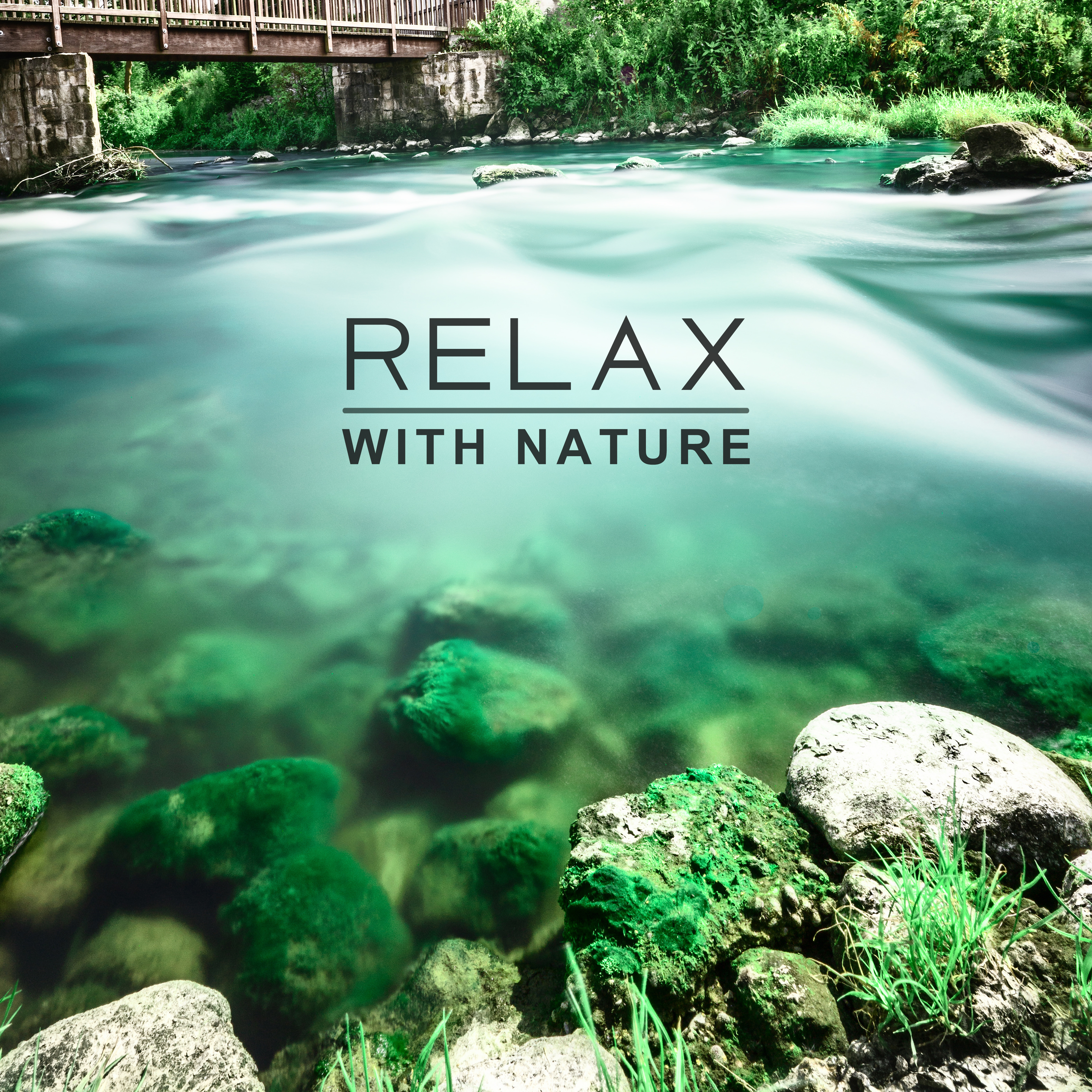 Relax with Nature  New Age Music, Peaceful Mind, Melodies to Calm Down, Pure Waves, Nature Sounds to Rest, Relaxing Therapy, Deep Sleep