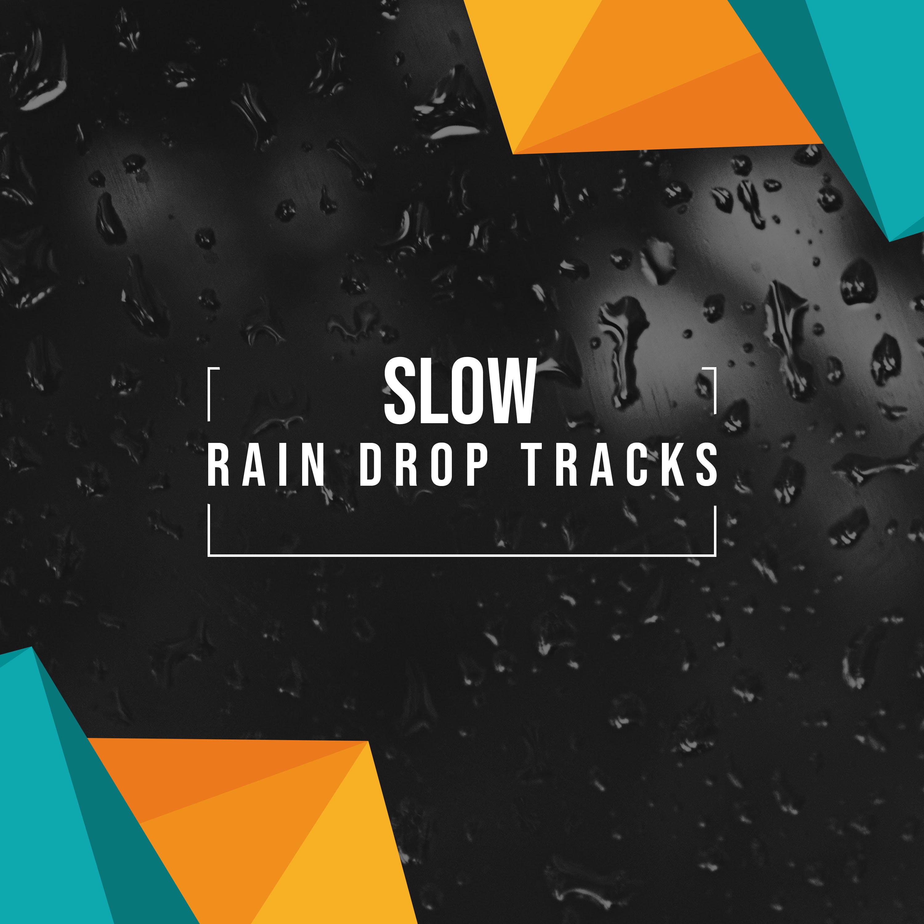 #19 Slow Rain Drop Tracks