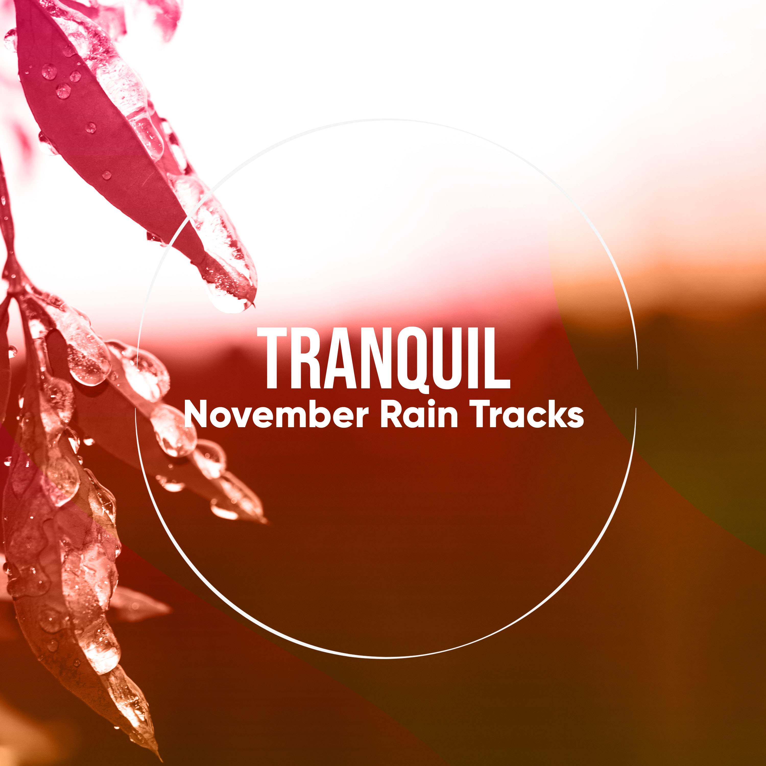 #19 Tranquil November Rain Tracks