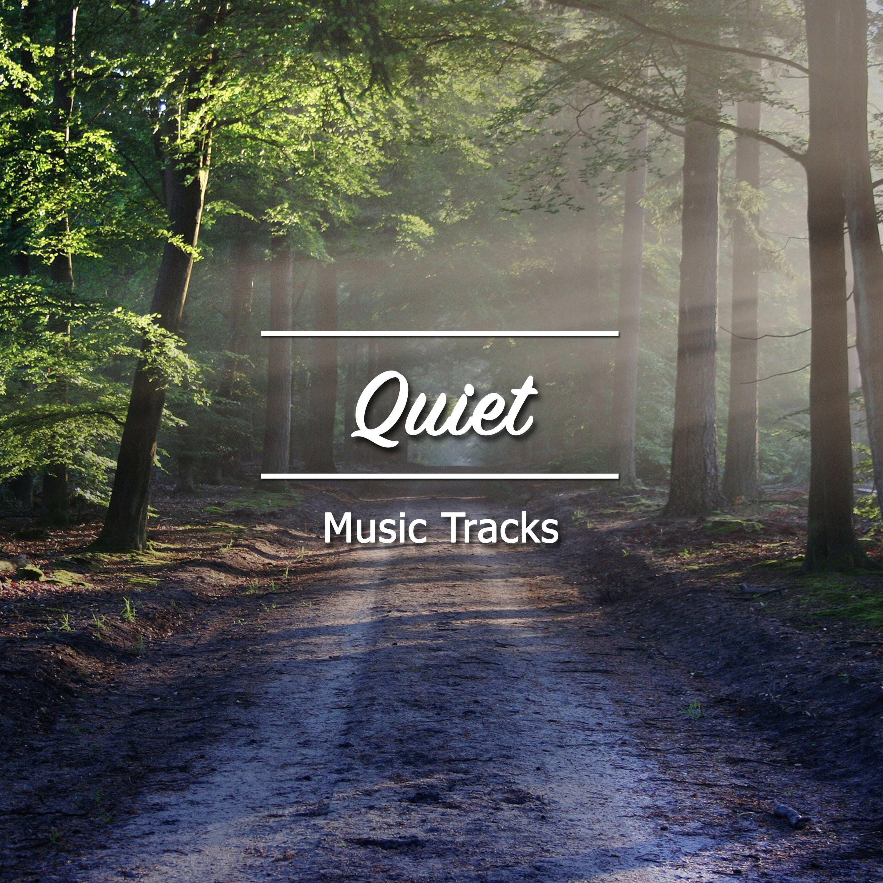 #15 Quiet Music Tracks for Deep Sleep