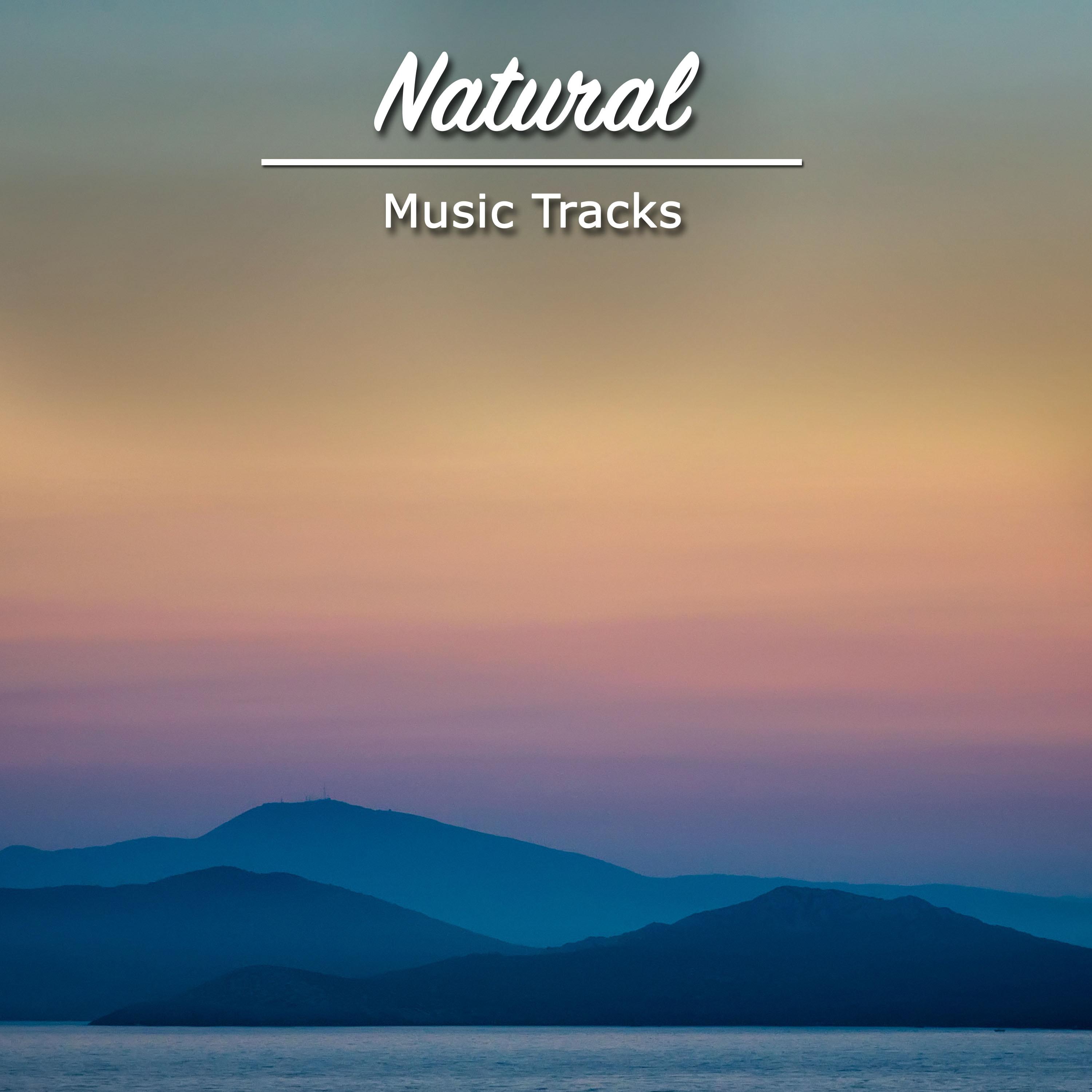 #22 Natural Music Tracks for Meditation, Spa and Relaxation