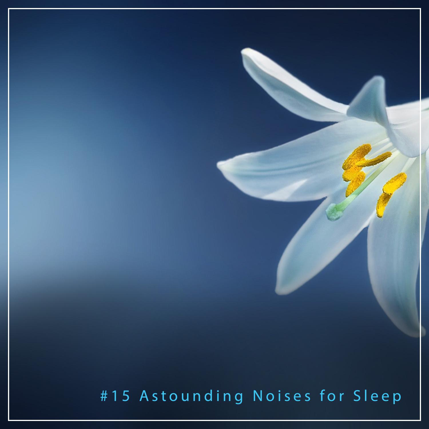 #15 Astounding Noises for Sleep