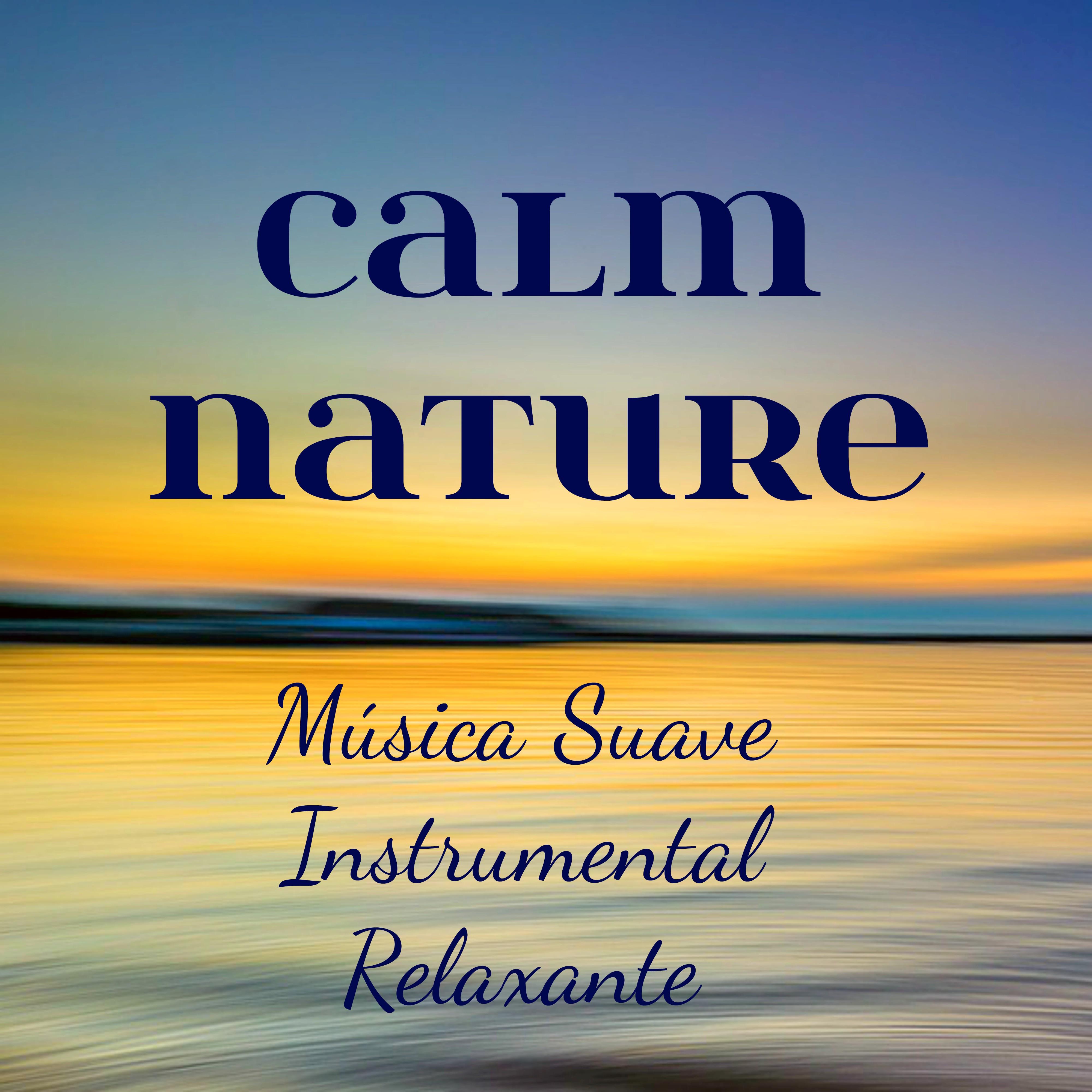 Calm Nature  Mu sica Suave Instrumental Relaxante para Poder da Mente Massagem Terap utica Espirito Livre com Sons da Natureza New Age de Medita o