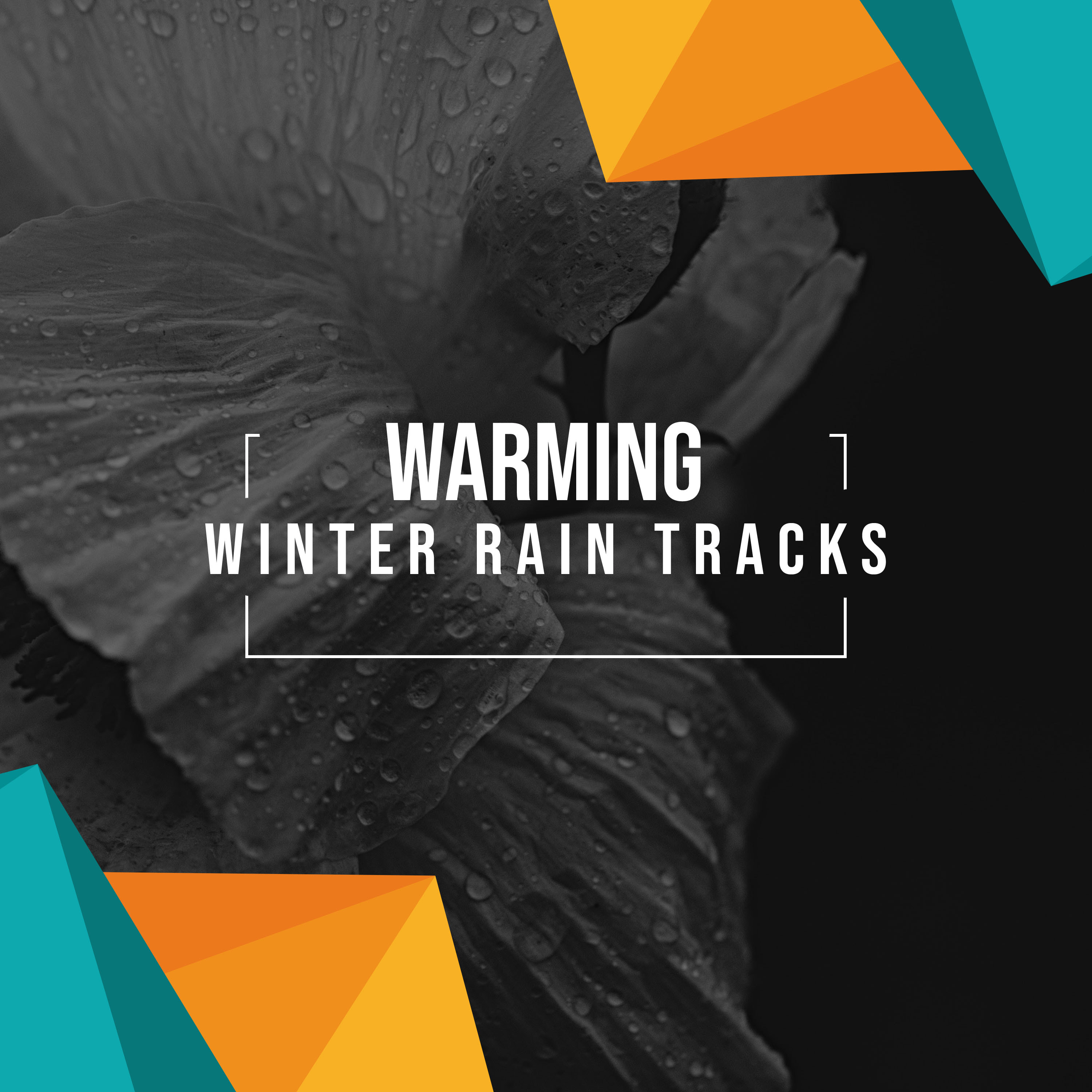 #11 Warming Winter Rain Tracks