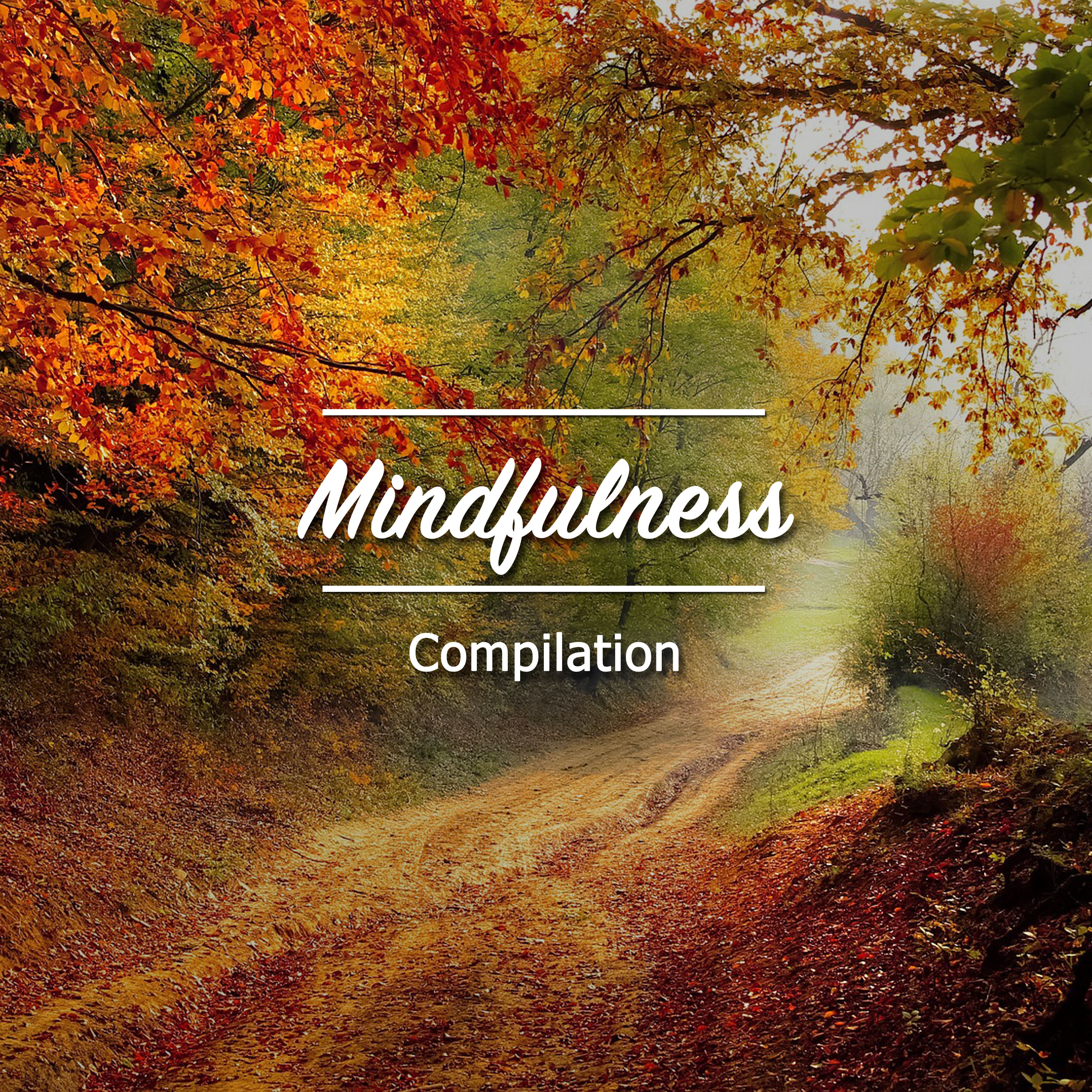 #21 Mindfulness Compilation to Aid Sleep & Wellbeing