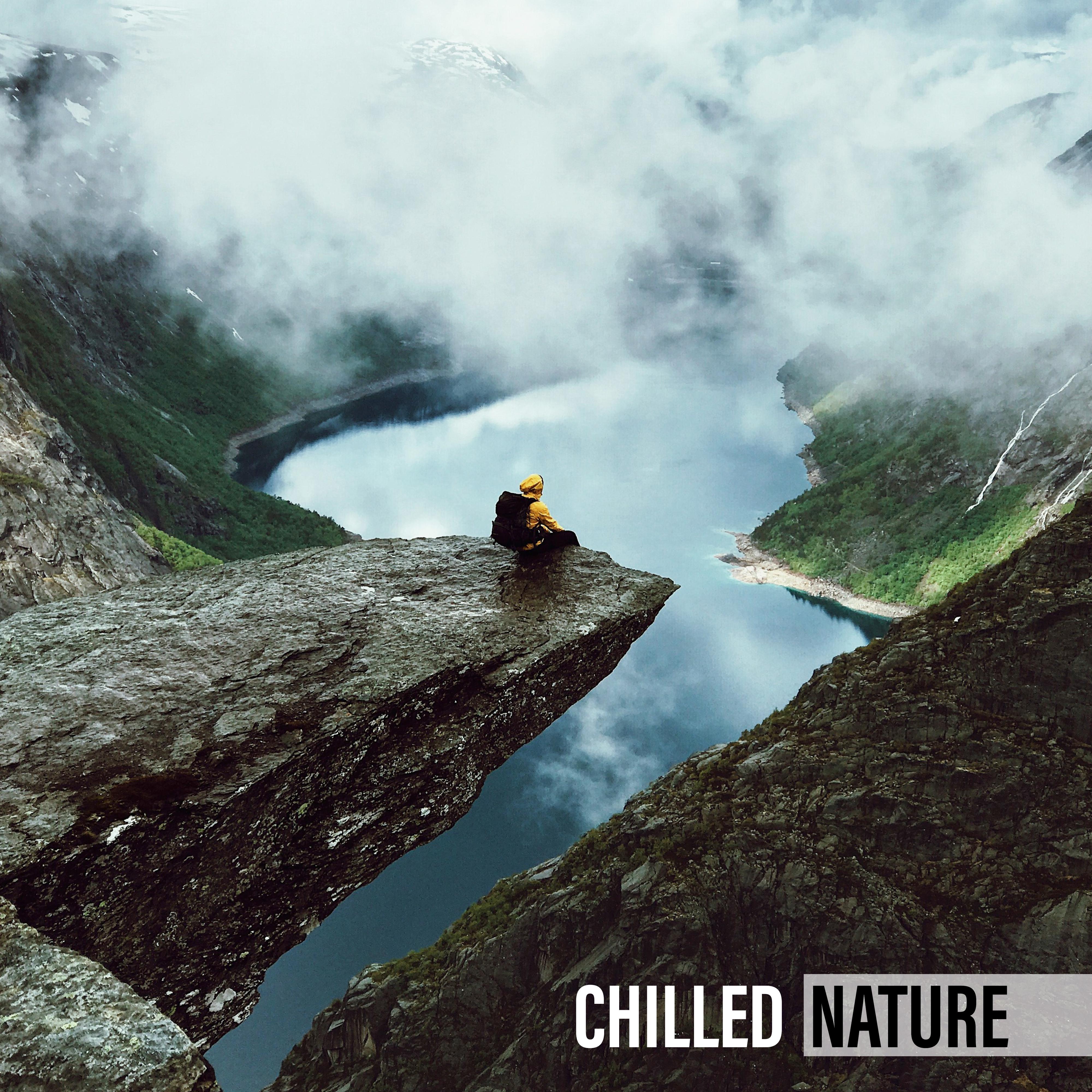 Chilled Nature